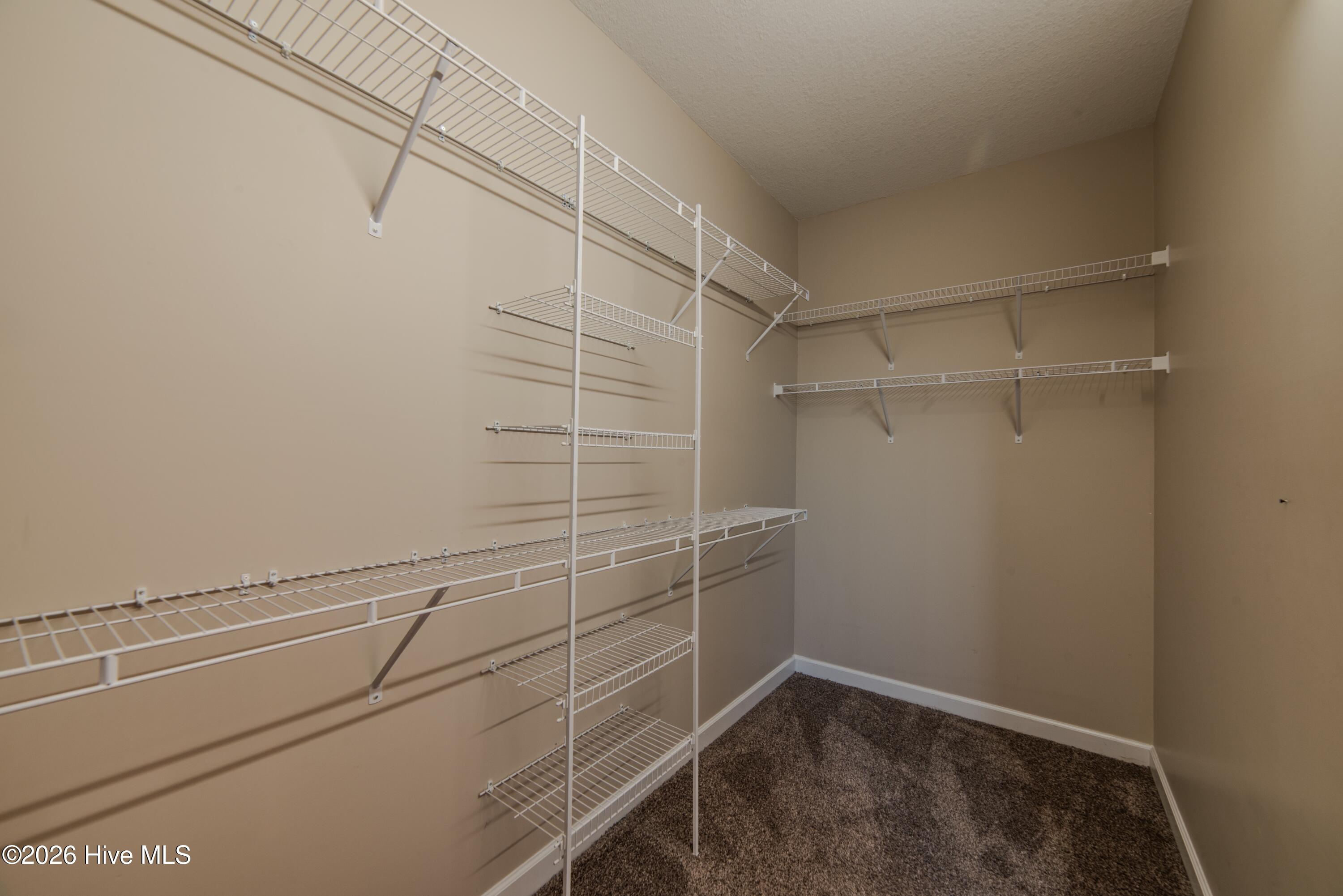 100568858 | Photo 14