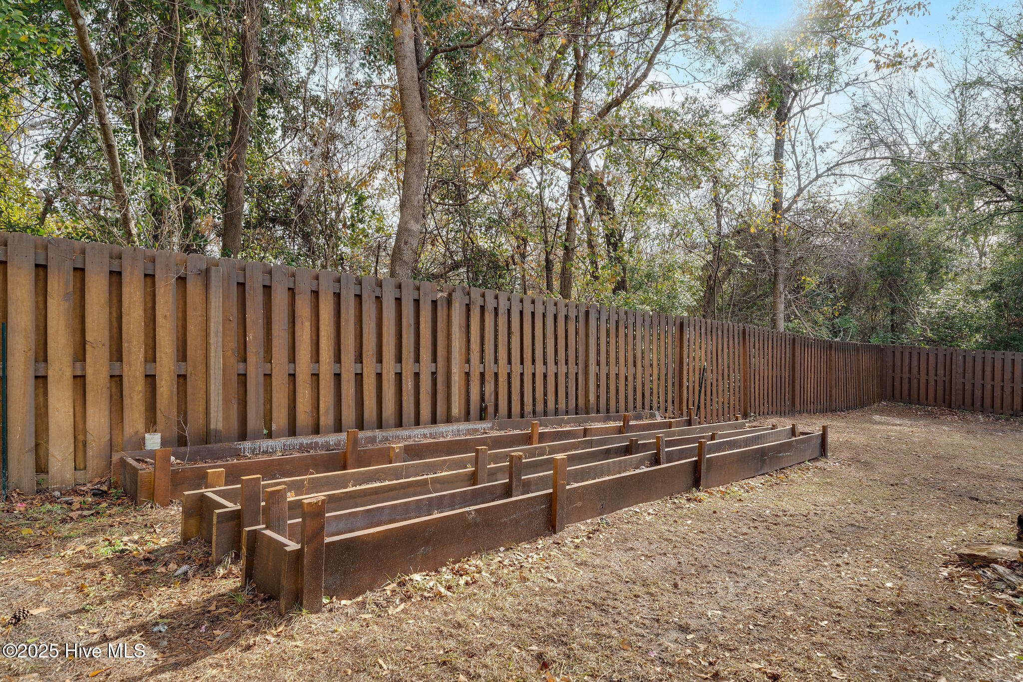 100546826 | Photo 28