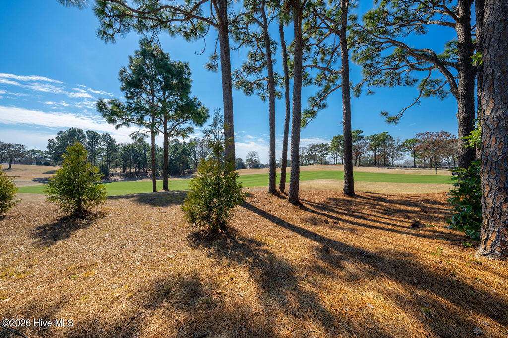 100553163 | Photo 51