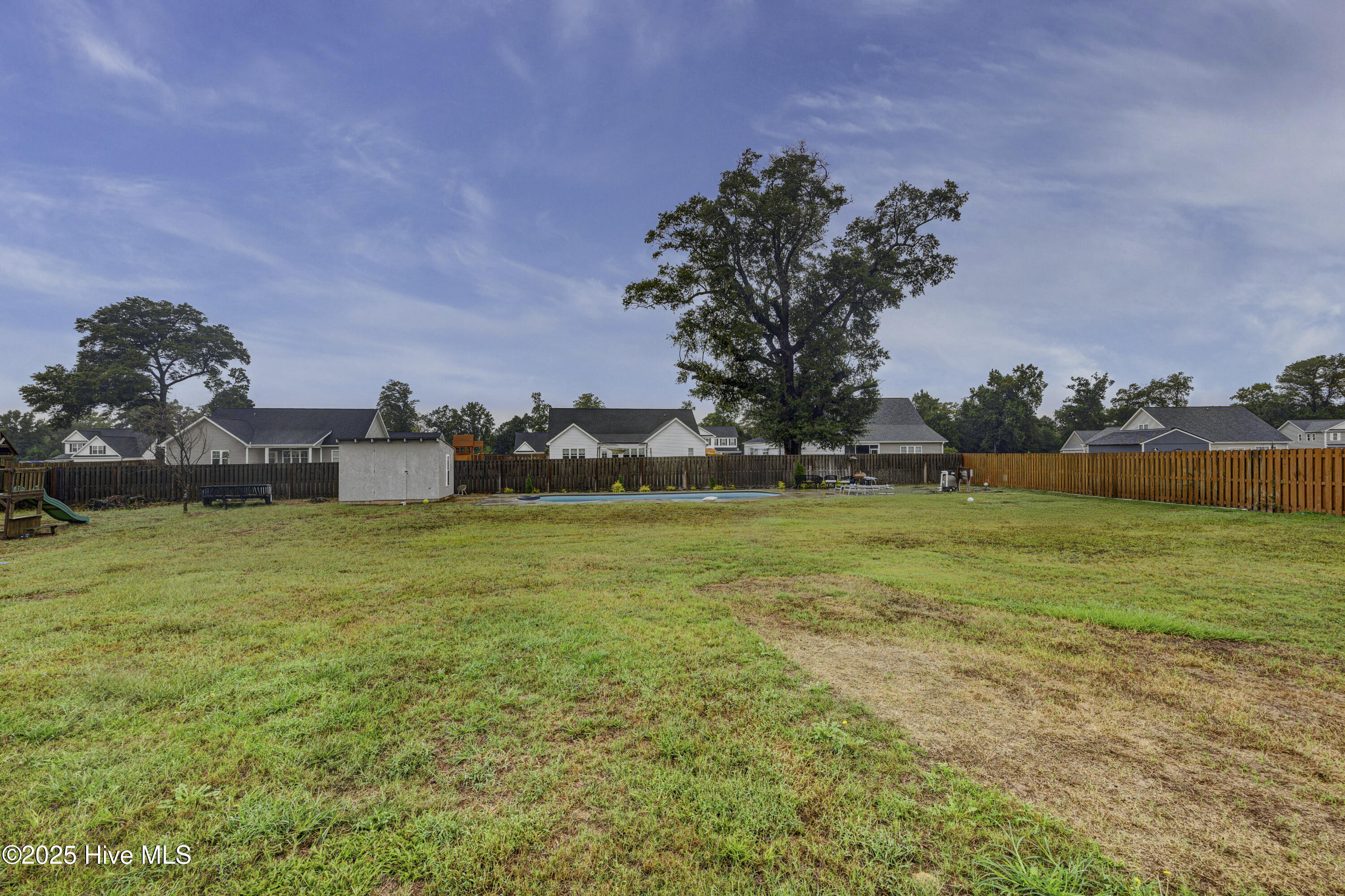 100534229 | Photo 50