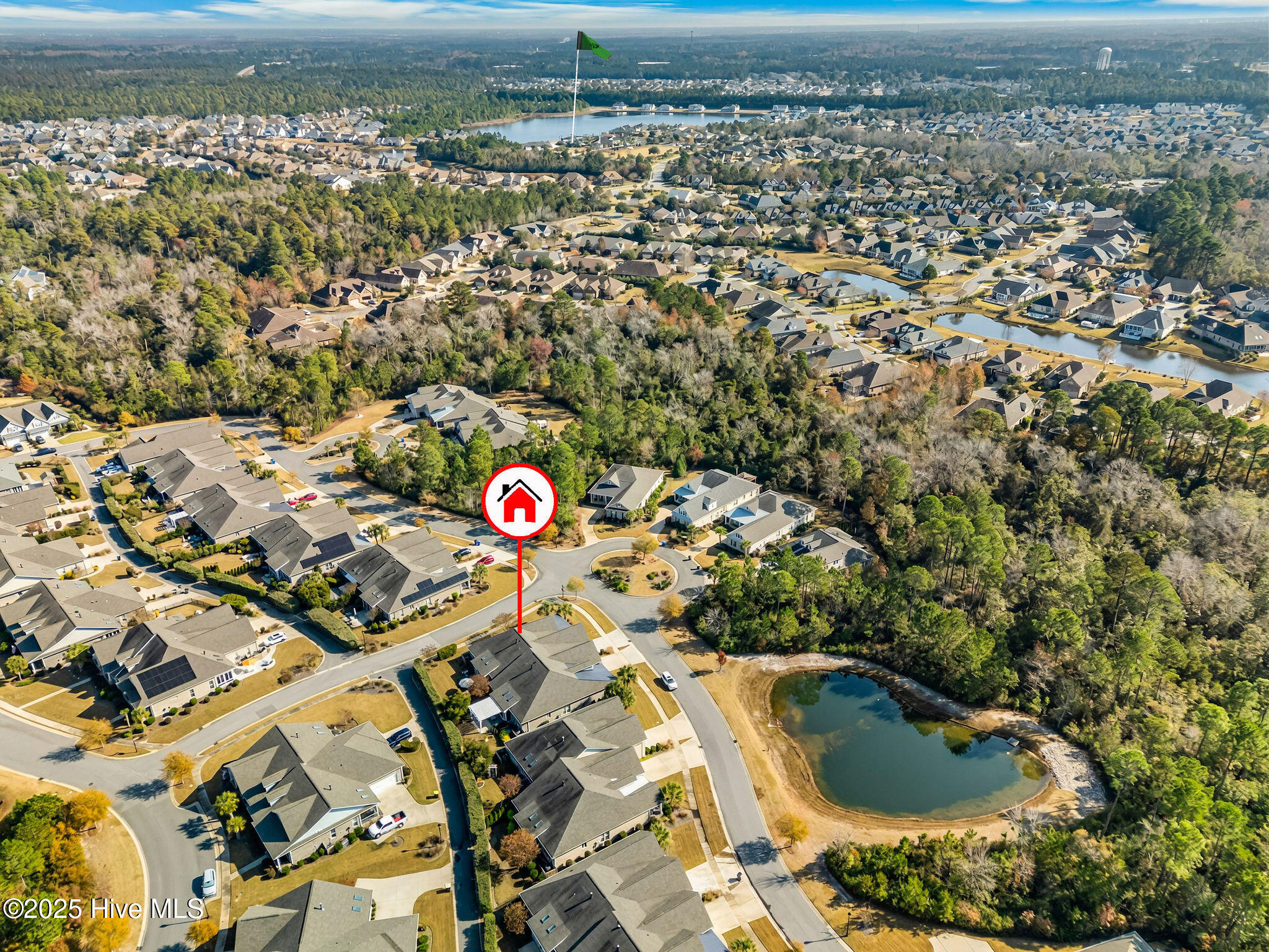 100542604 | Photo 62