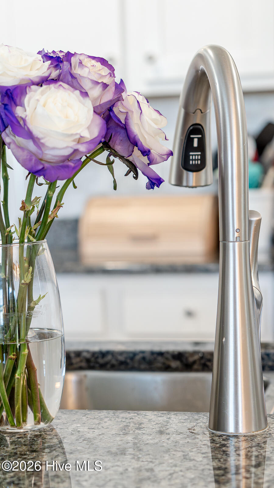 100564968 | Photo 12