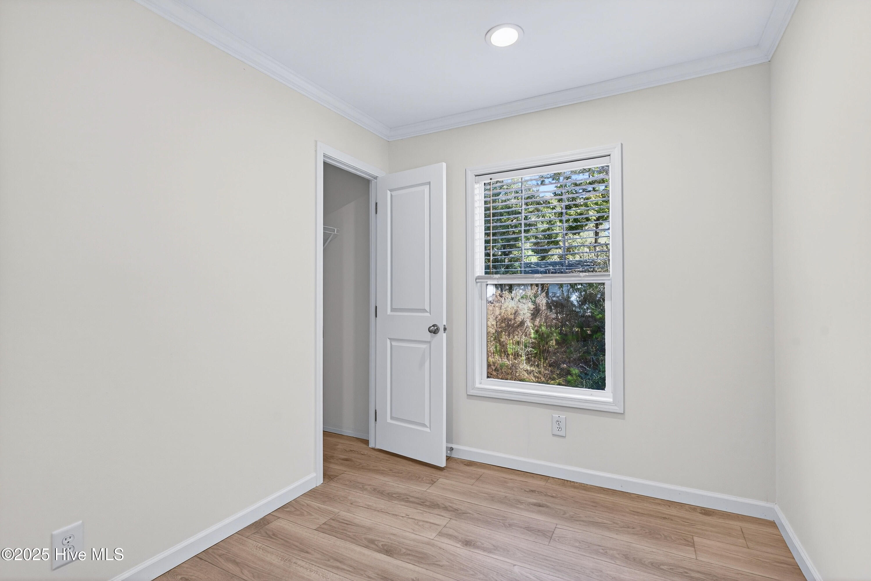 100542512 | Photo 25