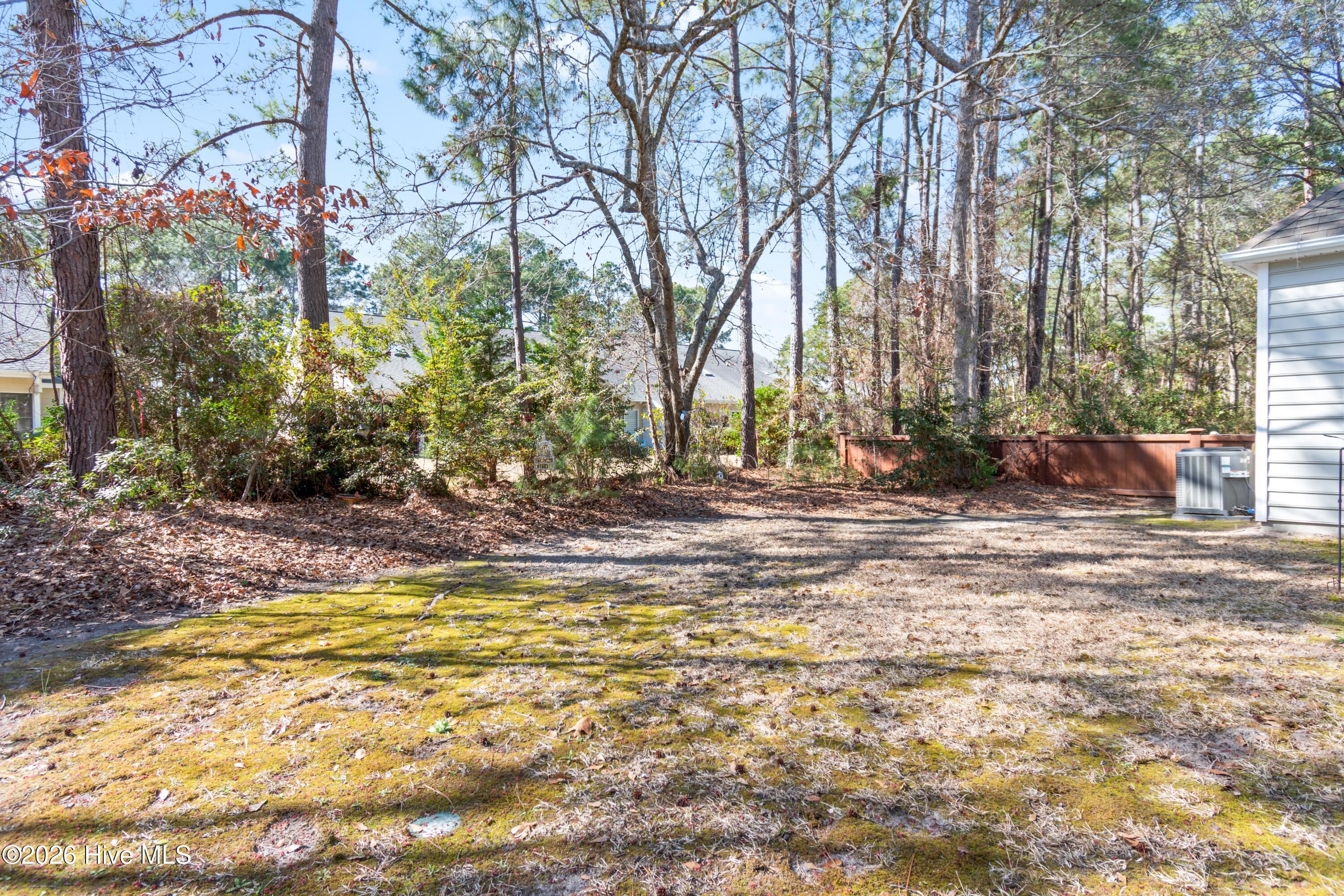 100540219 | Photo 32