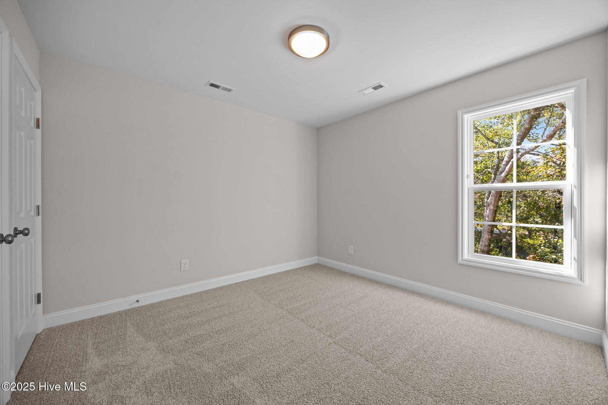 100509349 | Photo 19