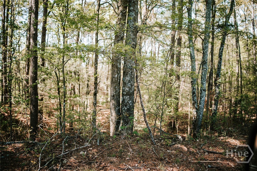 000 Union Point Road, Stephens, GA, 30667