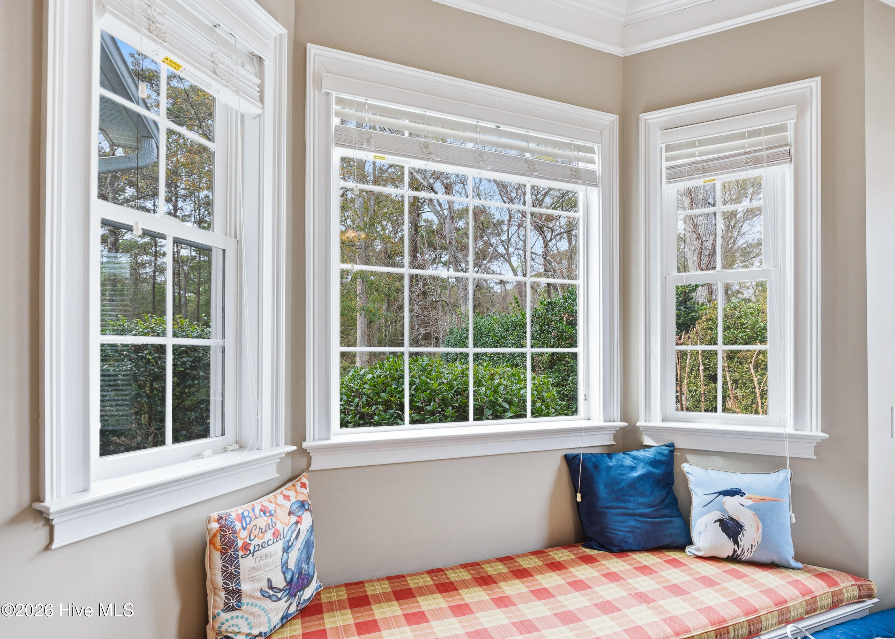 100558531 | Photo 24