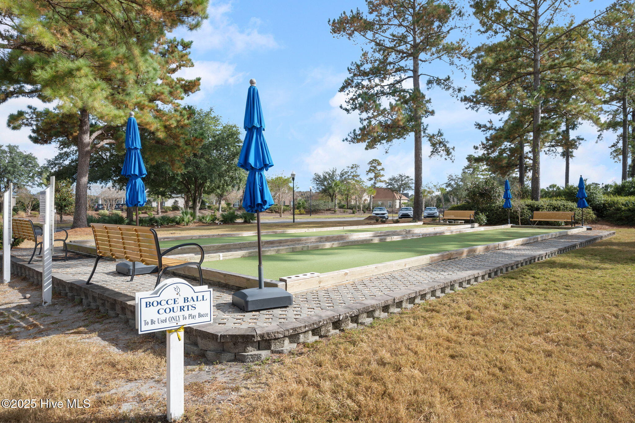 100535127 | Photo 43