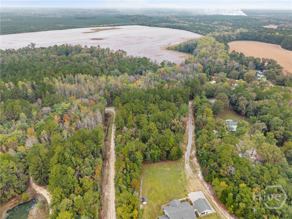 Homes for sale in Springfield, GA | 0 Clyo Shawnee Rd, Springfield, GA 31329 | MLS# SA342552