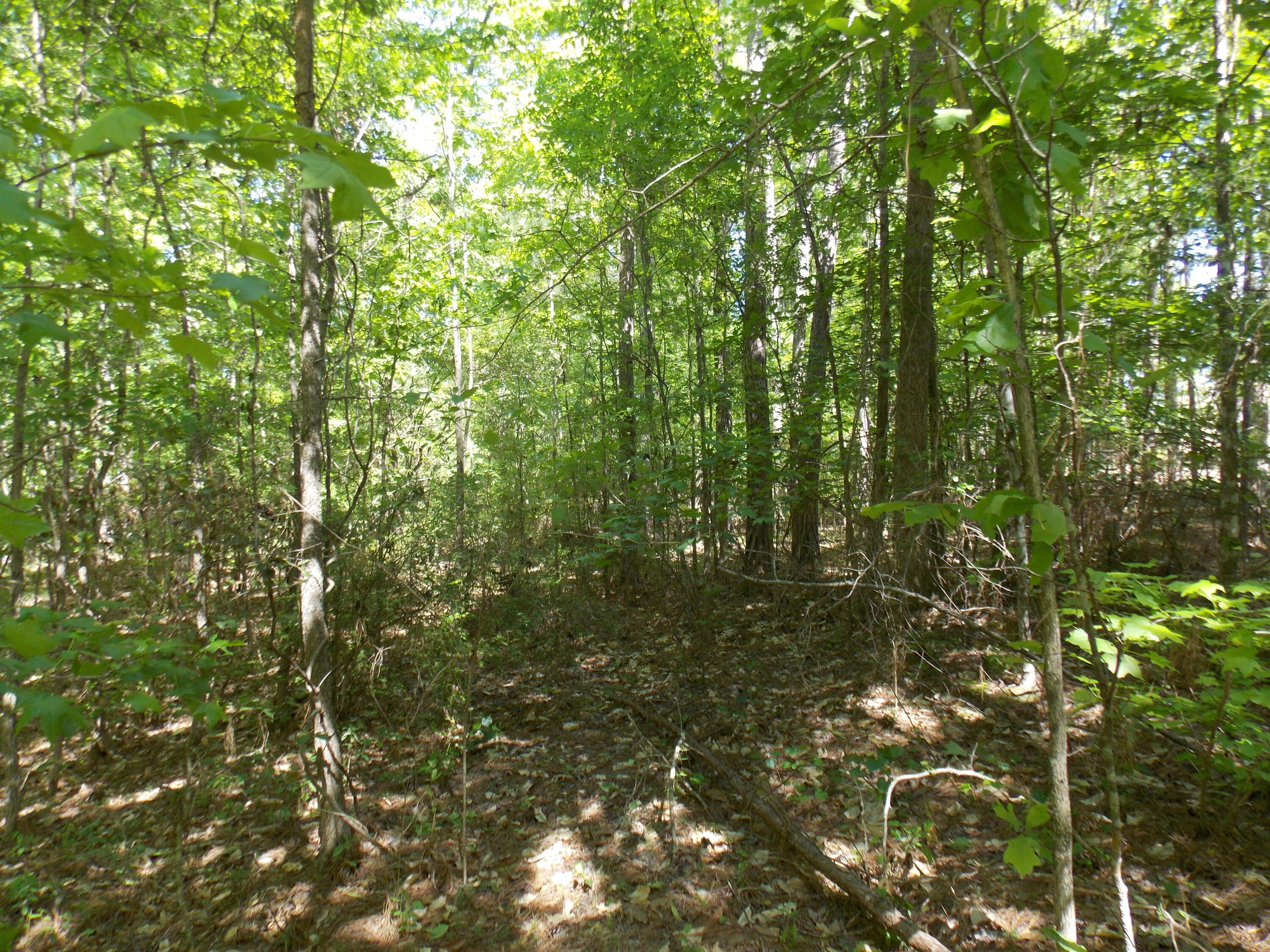 12 DOE RUN, Lincolnton, GA, 30817