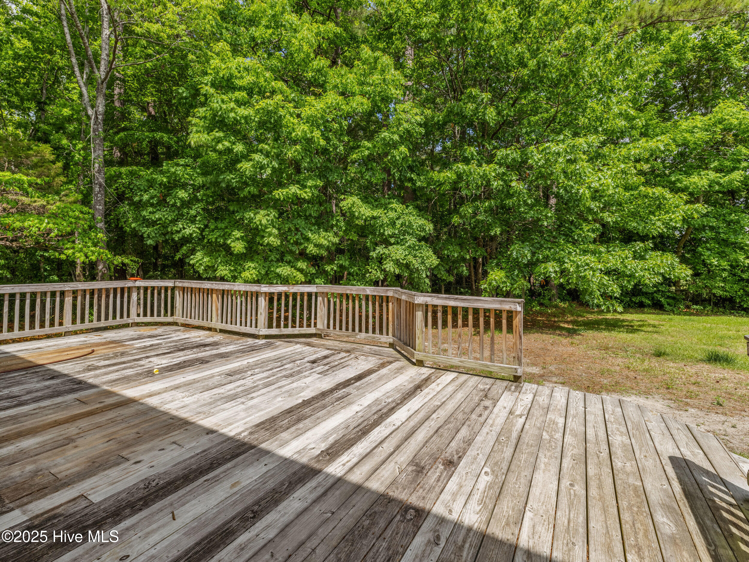 100554828 | Photo 45