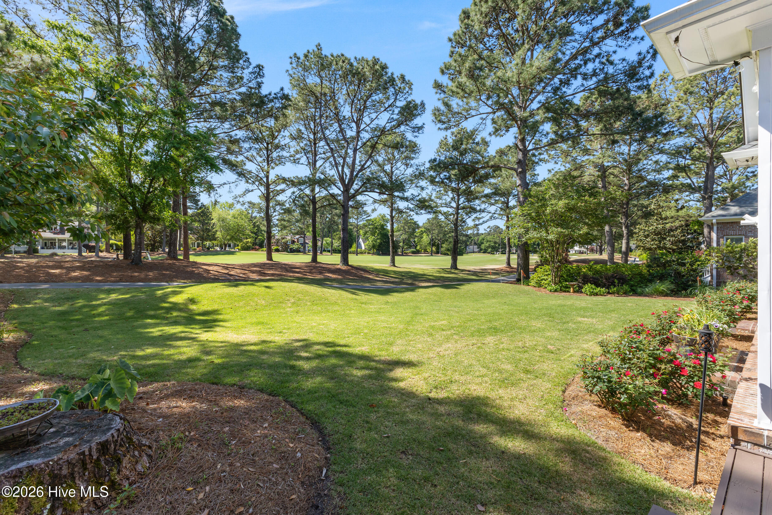 100569489 | Photo 43