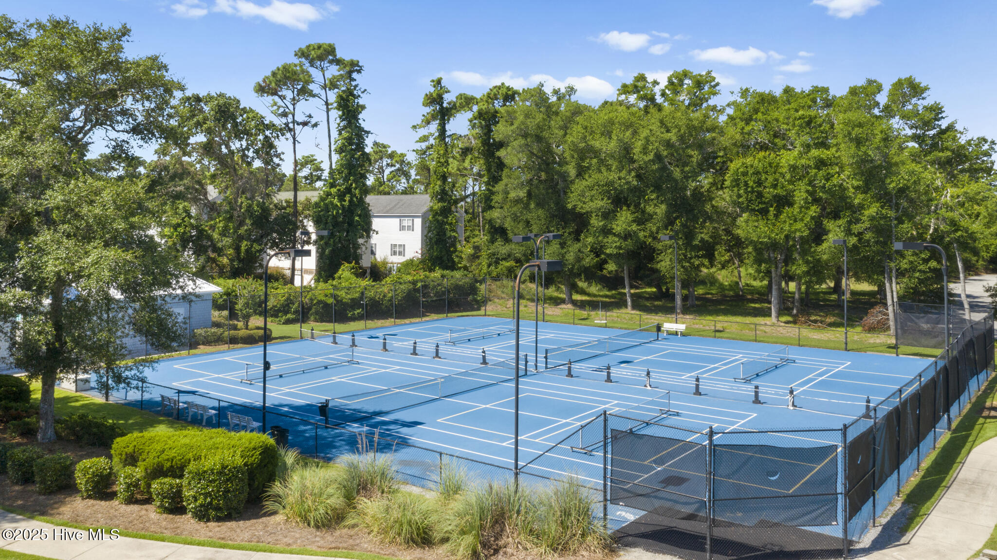 100526036 | Photo 29