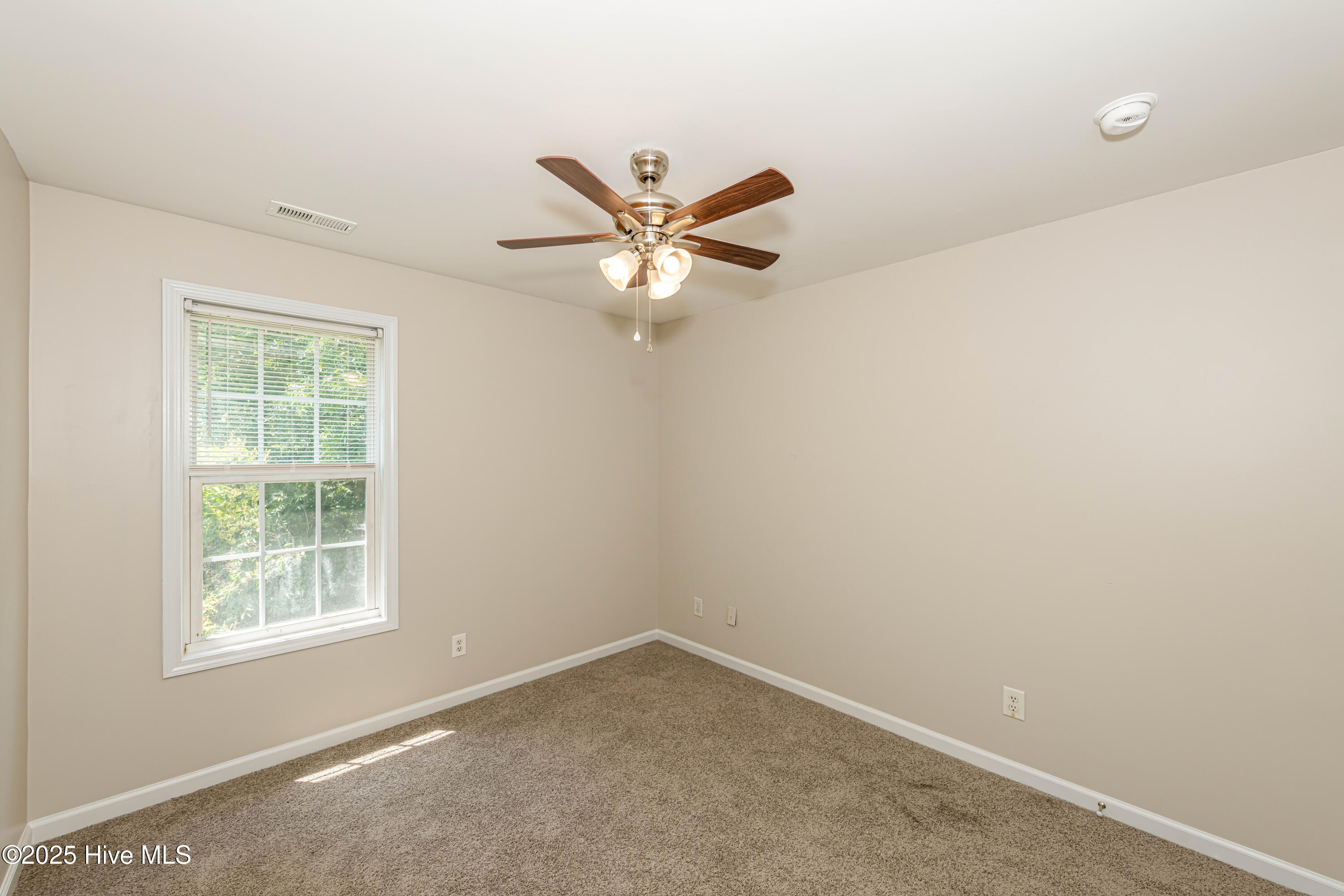 100521168 | Photo 31