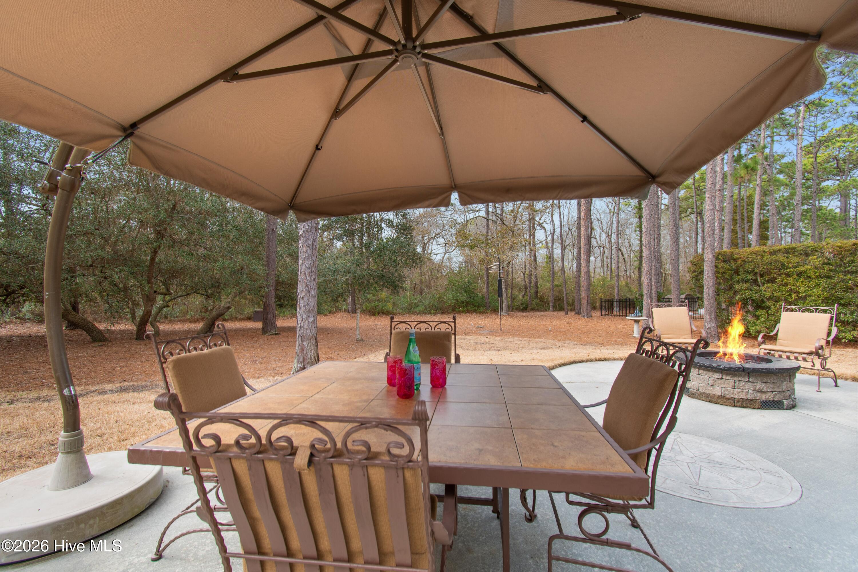 100555606 | Photo 52