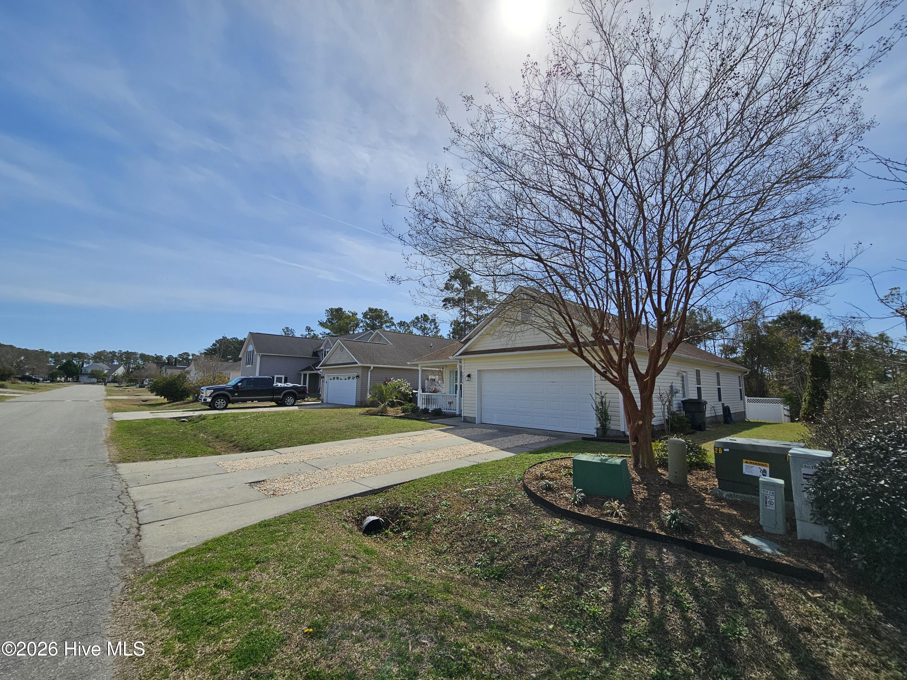 100557905 | Photo 33