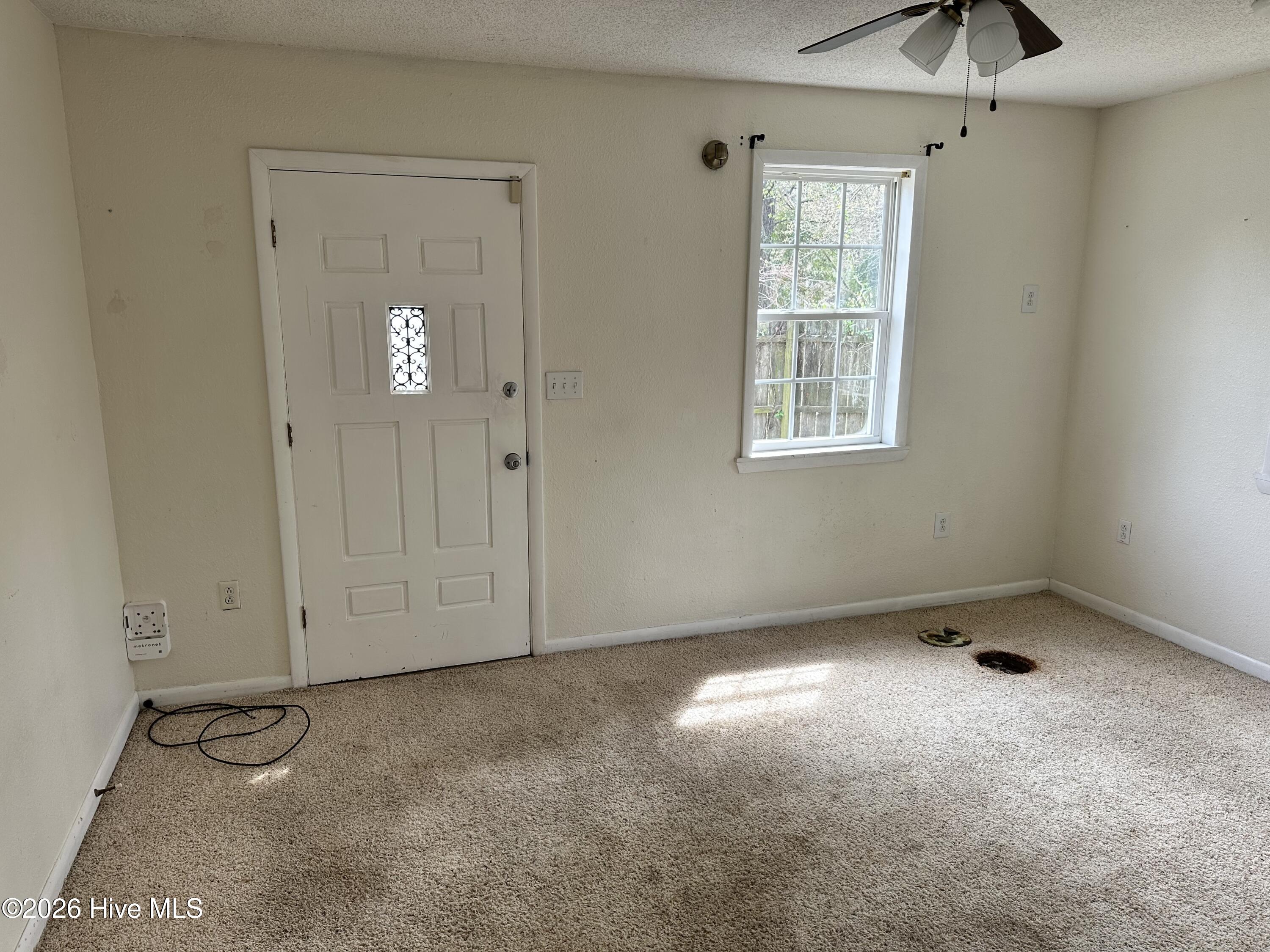 100568099 | Photo 18