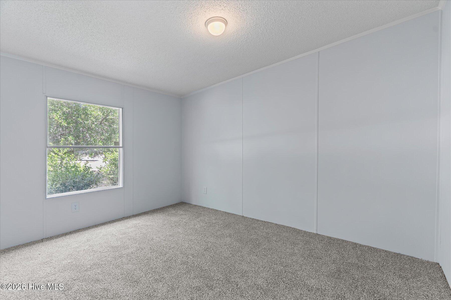 100567568 | Photo 37