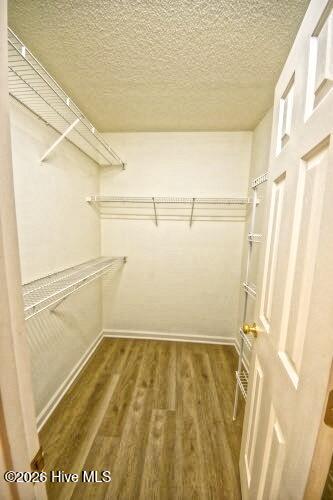 100558421 | Photo 19