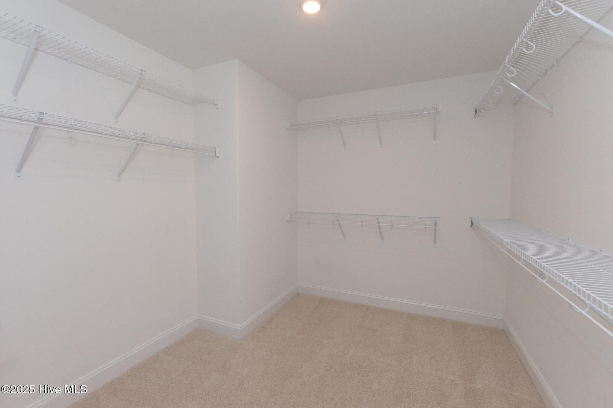 100531968 | Photo 32