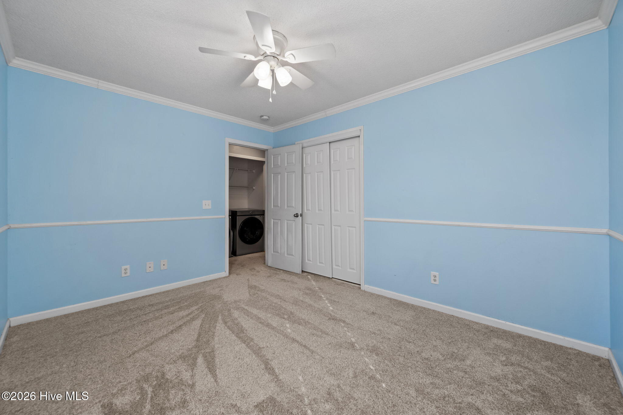 100552241 | Photo 37