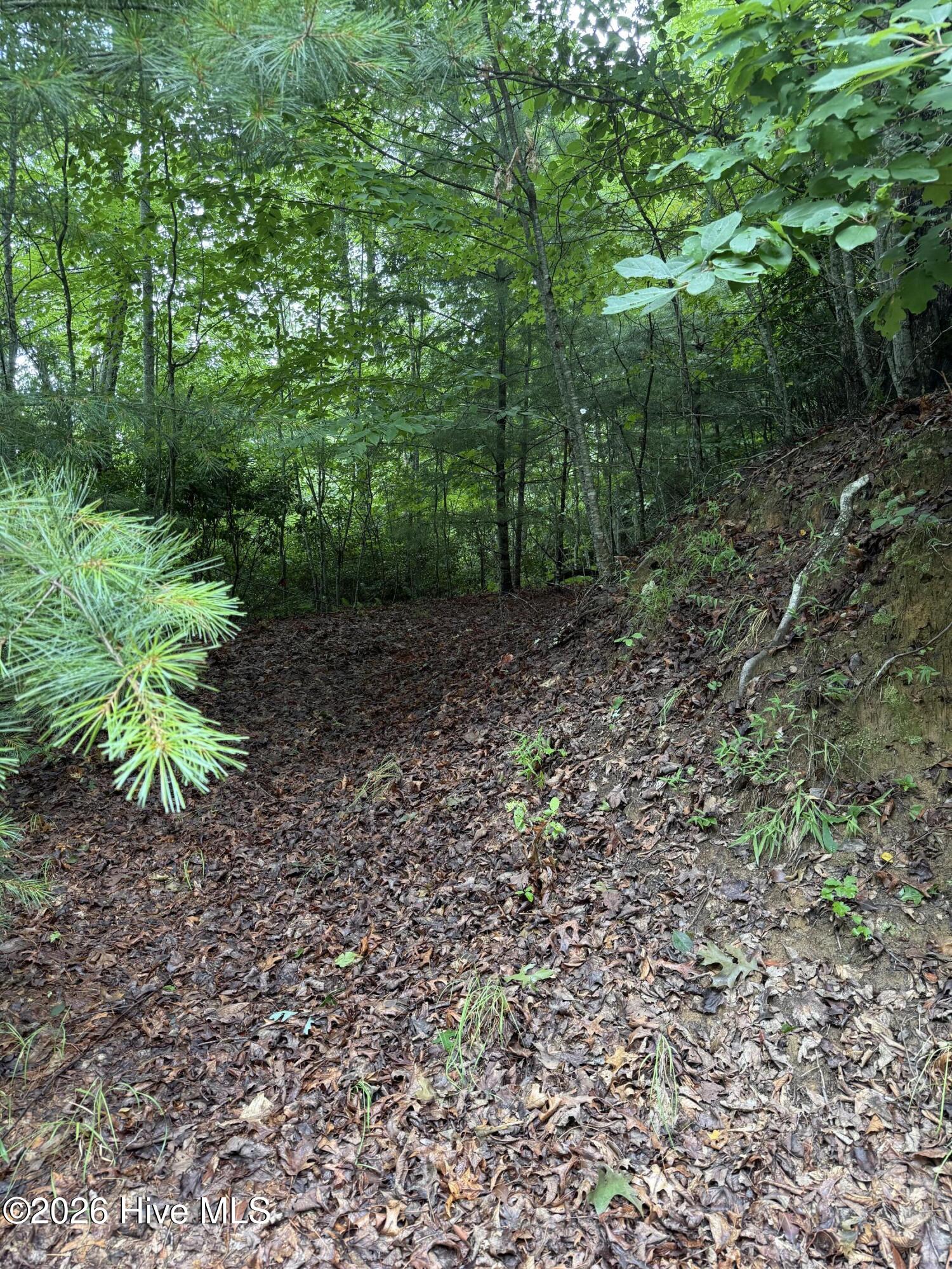 3rd image of Lot 14 Mountain Vista Ln, Topton, NC 28781 | MLS# 100593363