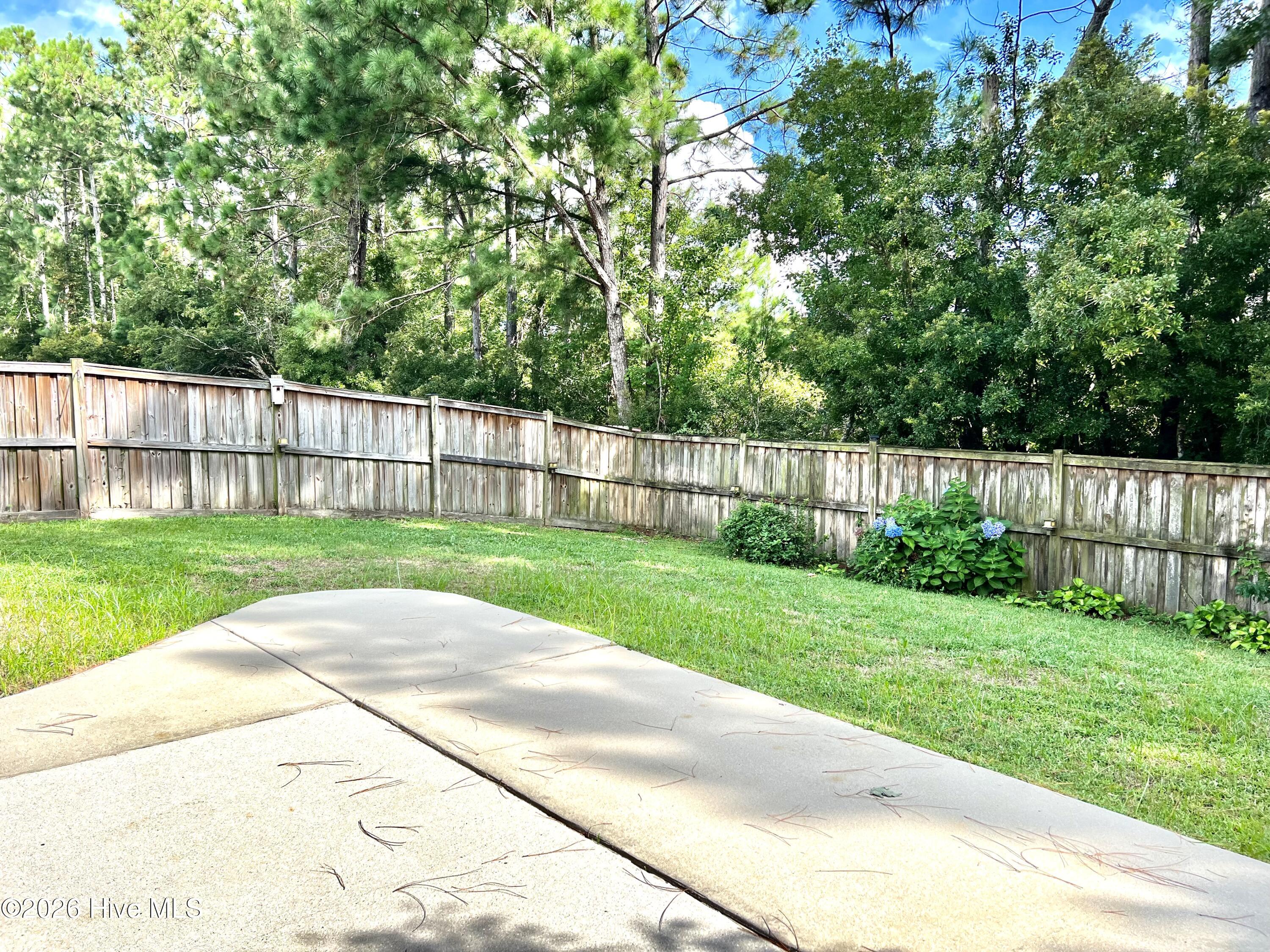 100565978 | Photo 17