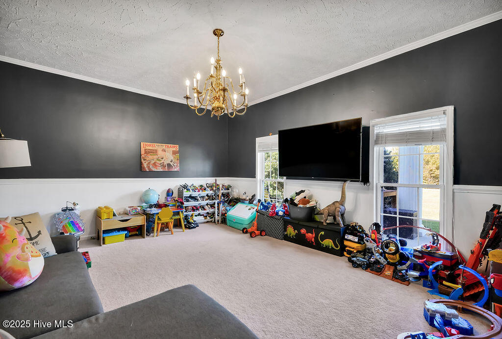 100537845 | Photo 25