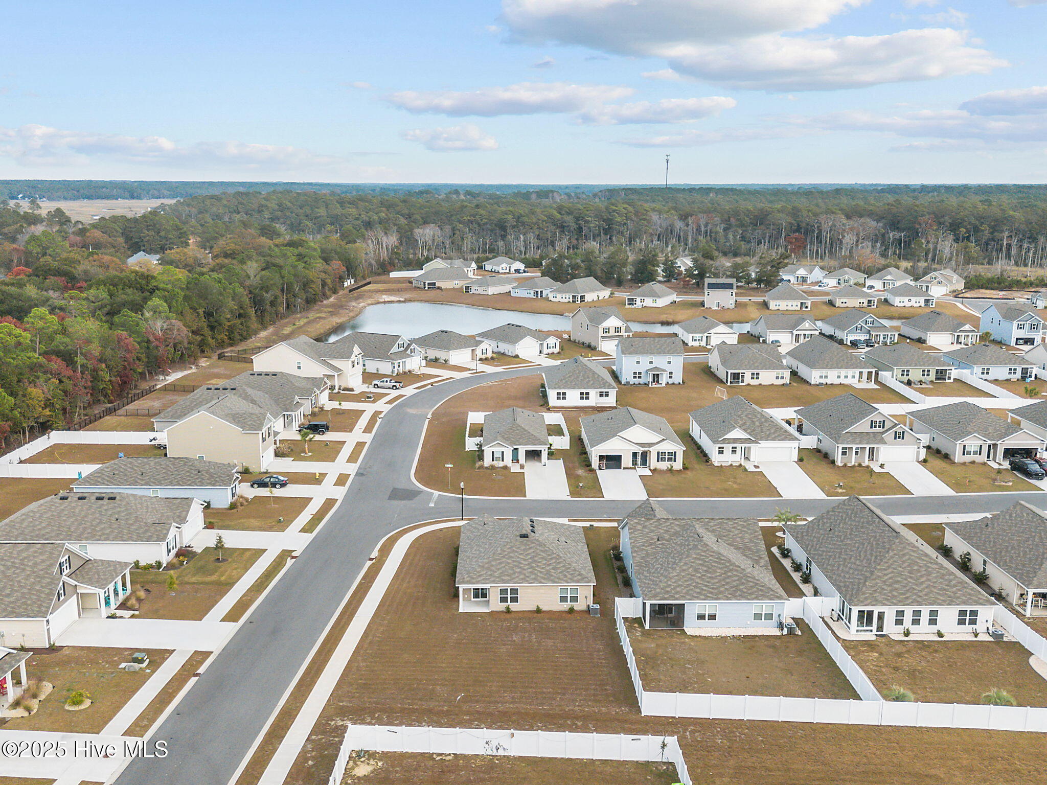 100542693 | Photo 45