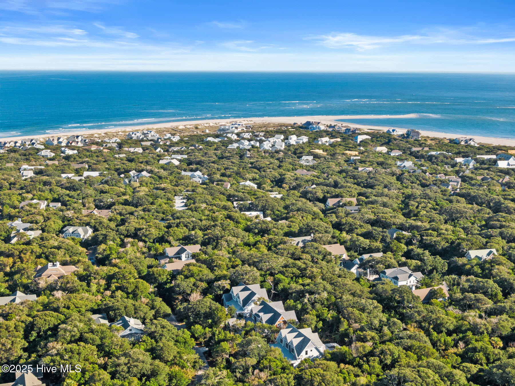 100401243 | Photo 99