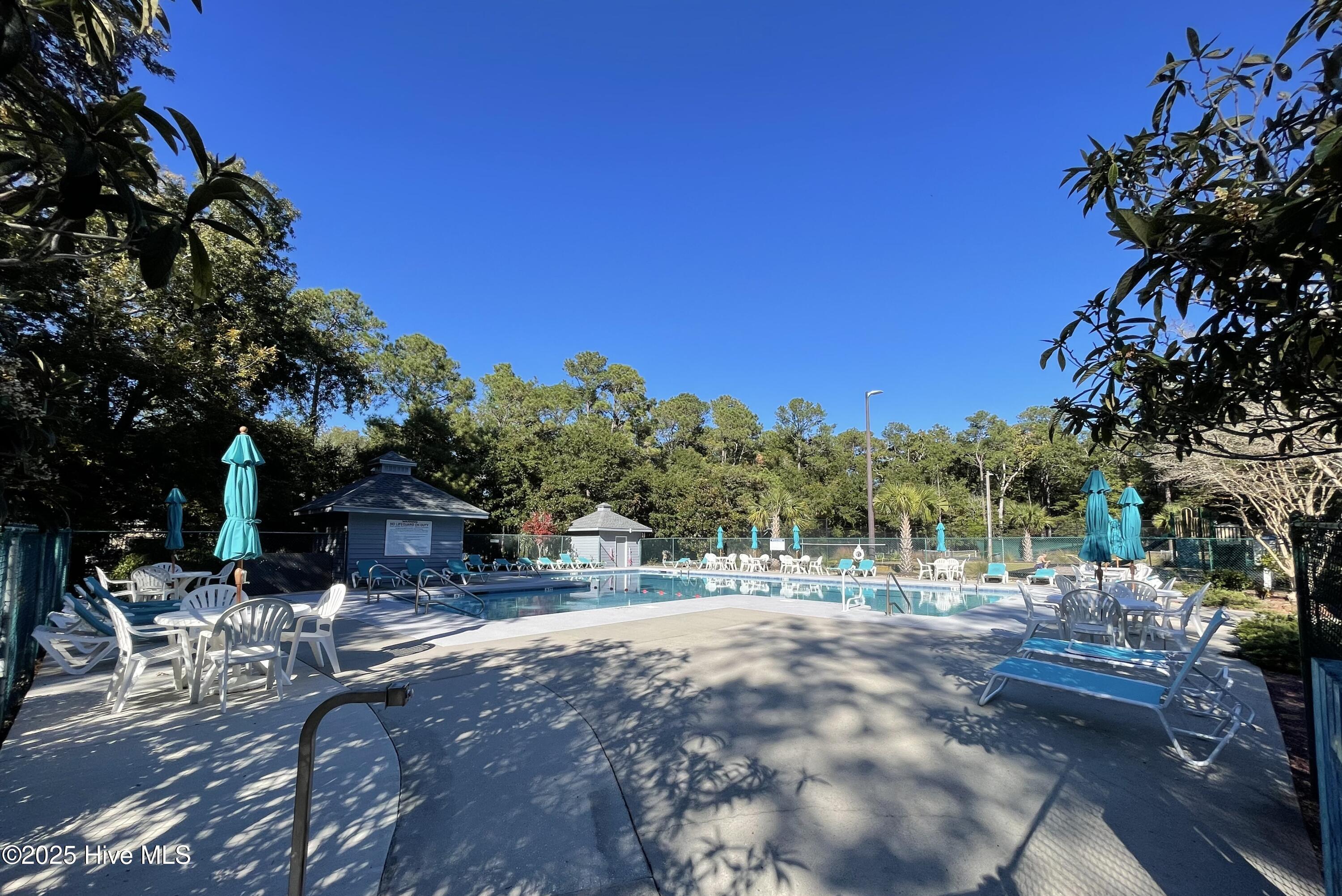 100526164 | Photo 16