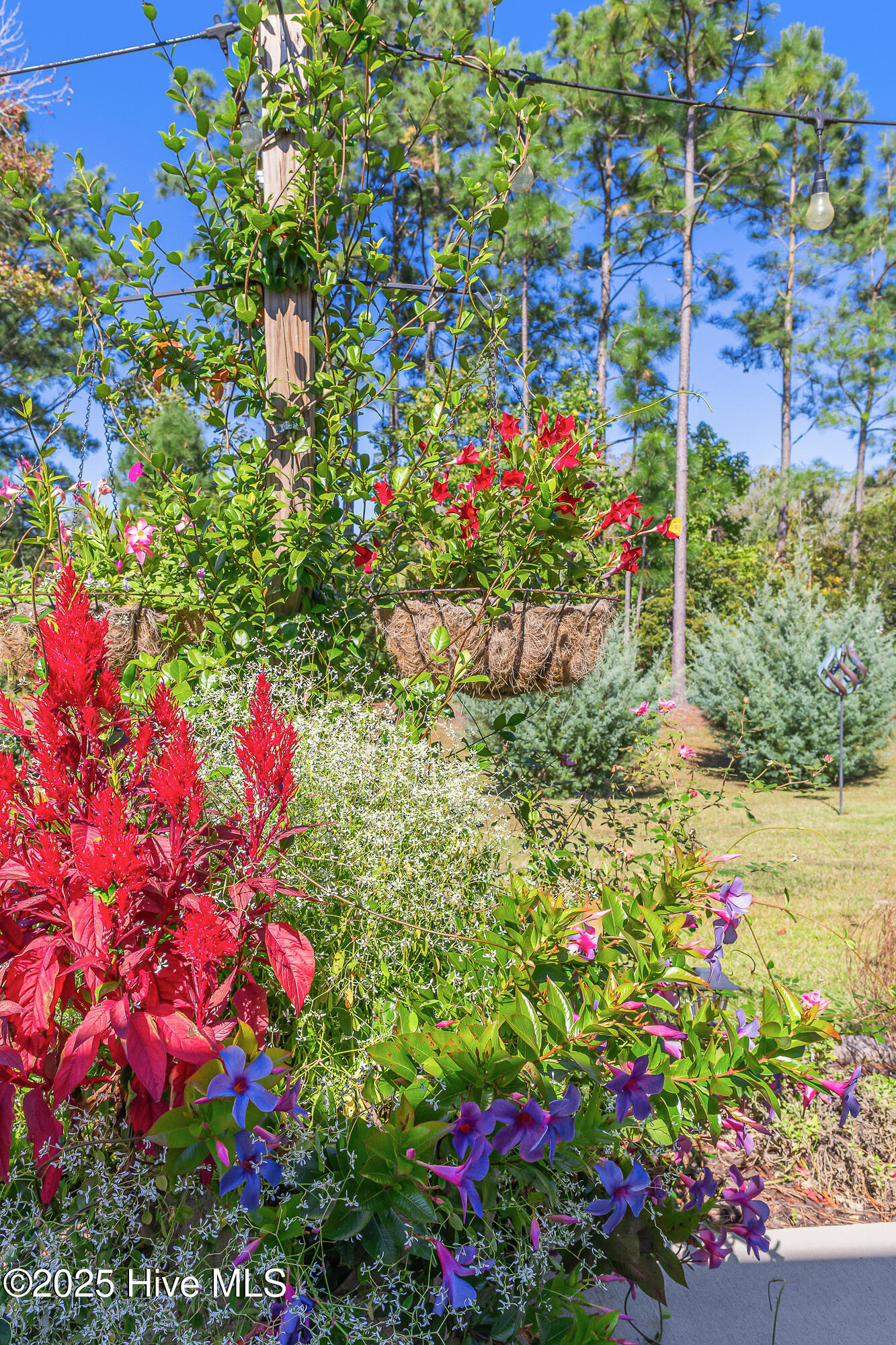 100537836 | Photo 37