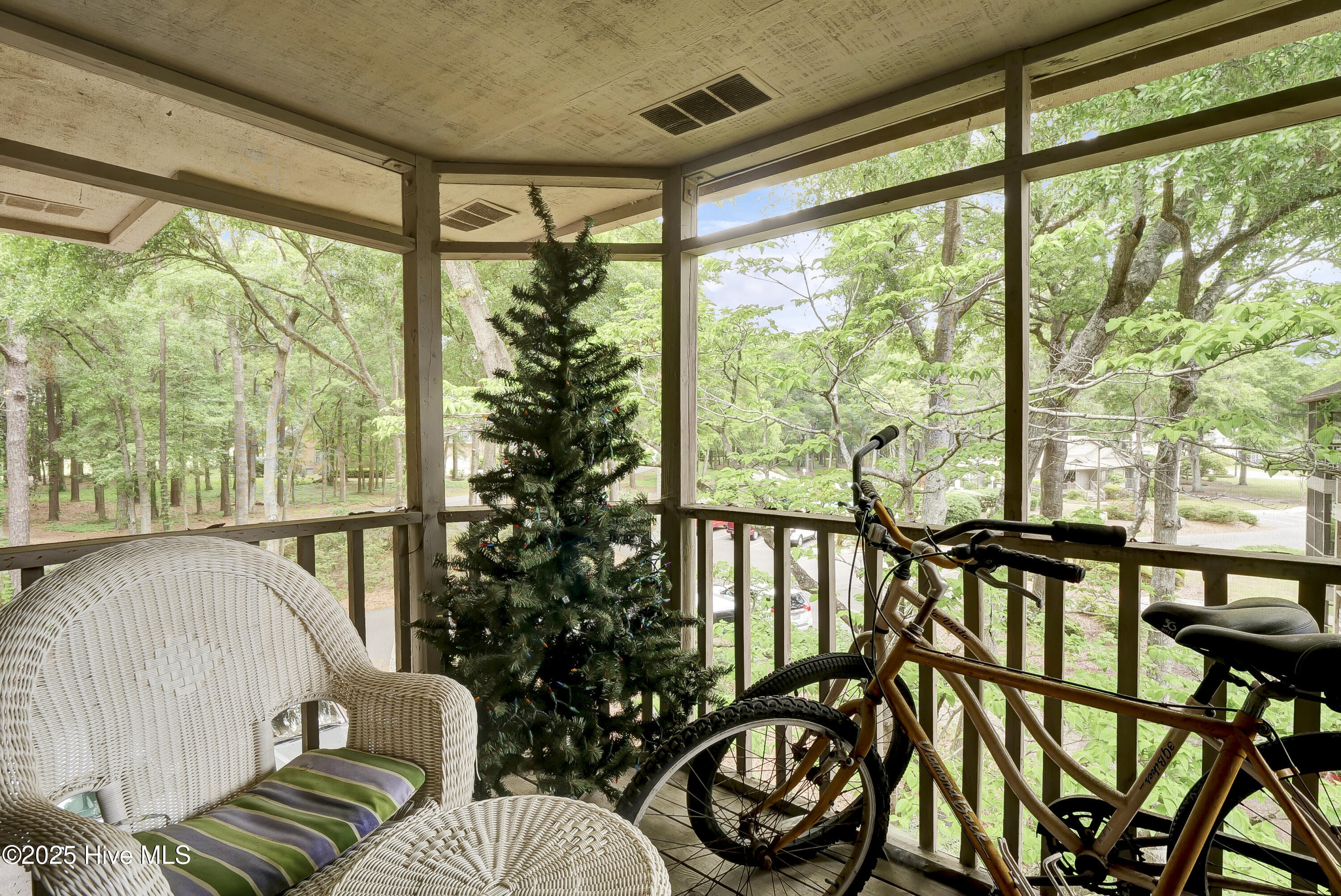 100508575 | Photo 24