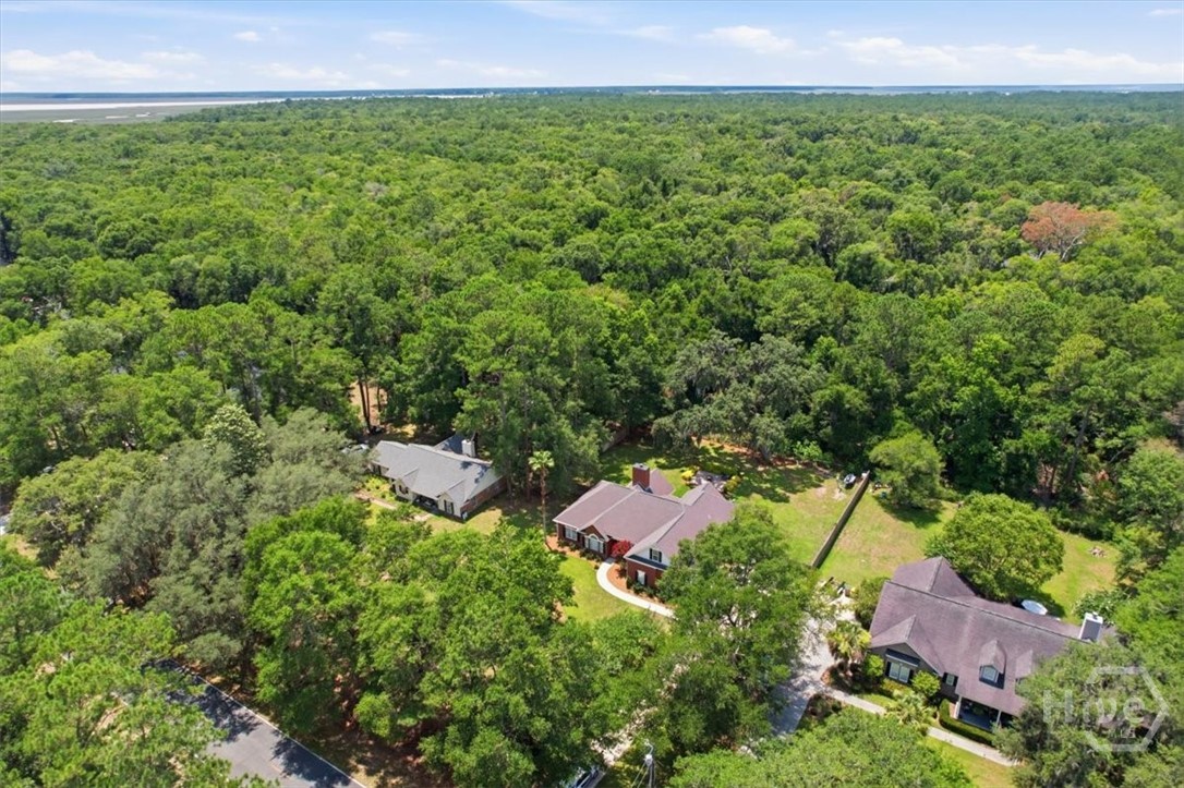 Aerial view.