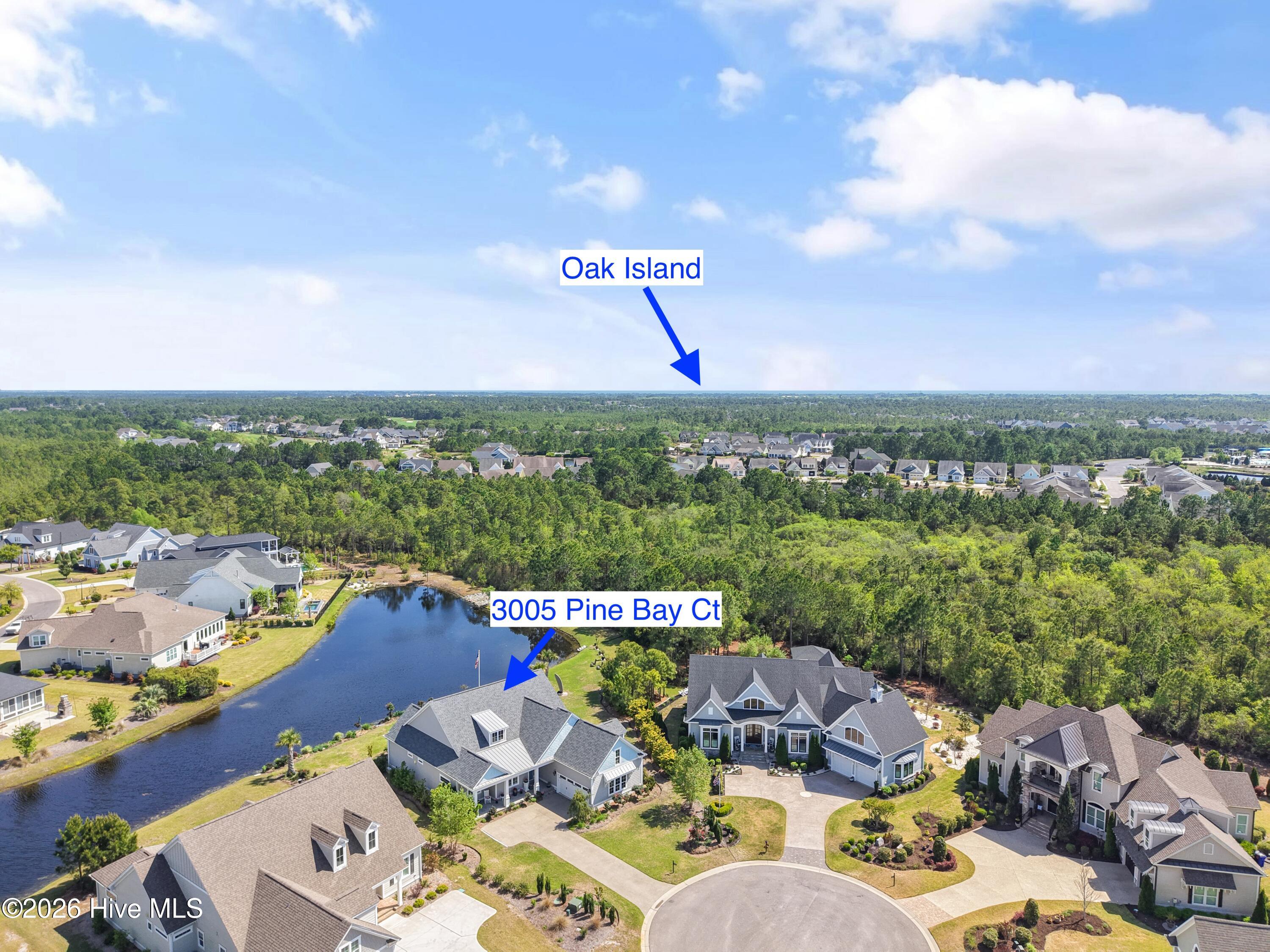 100560288 | Photo 80