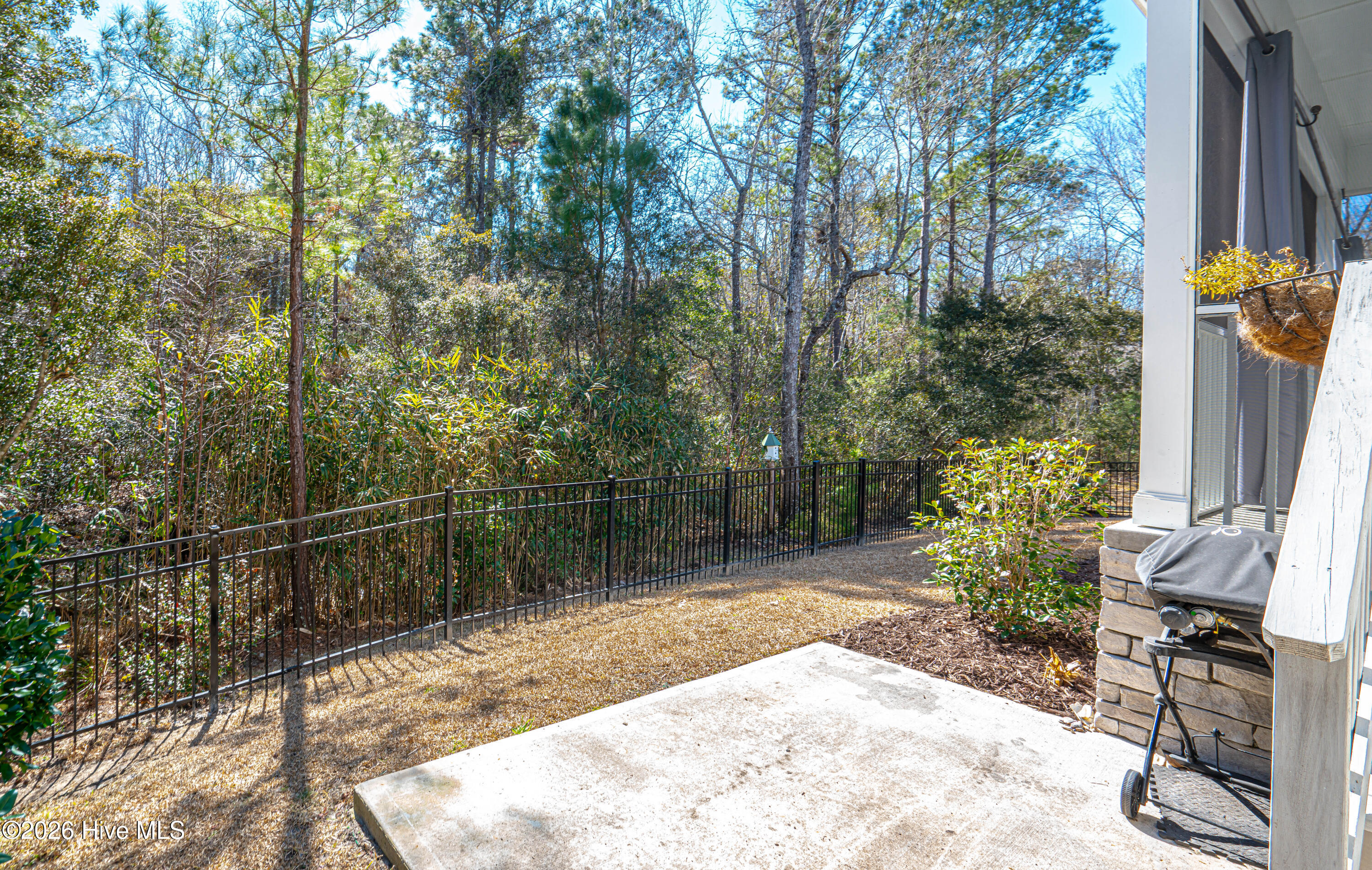 100555417 | Photo 43