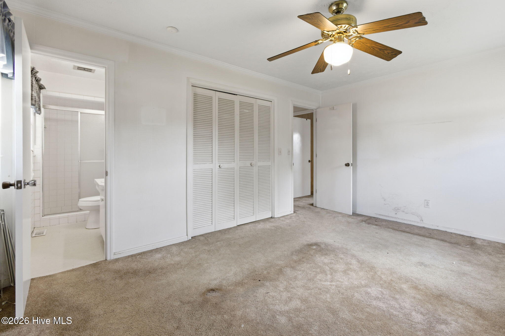 100564416 | Photo 30