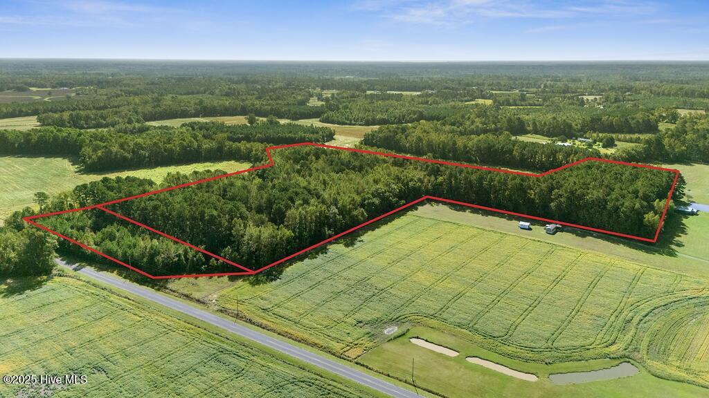 100535278 | Photo 14