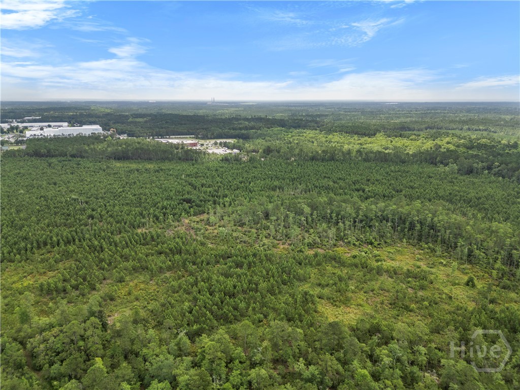 0 Rahn Station Road, Rincon, GA, 31326