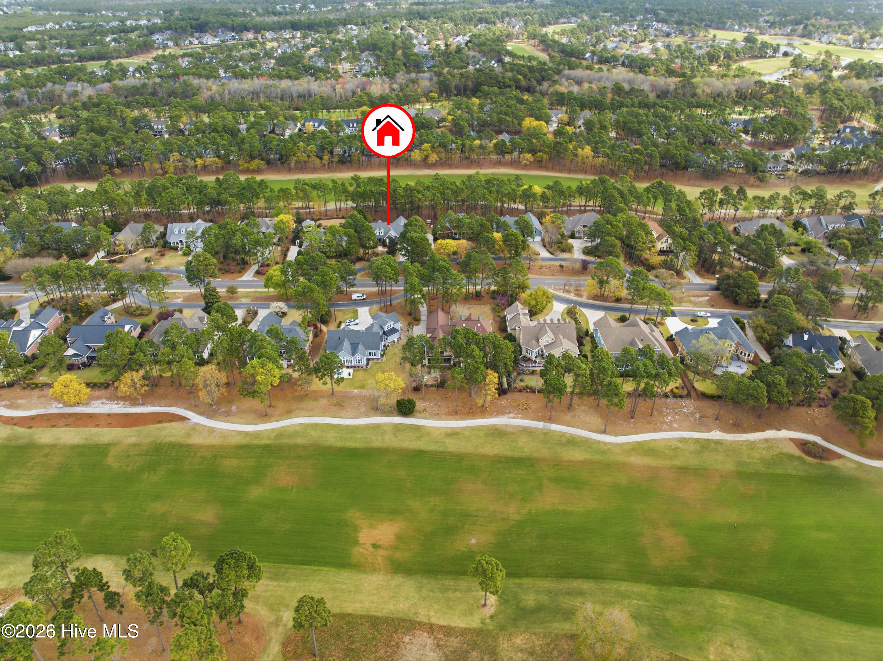 100564679 | Photo 66