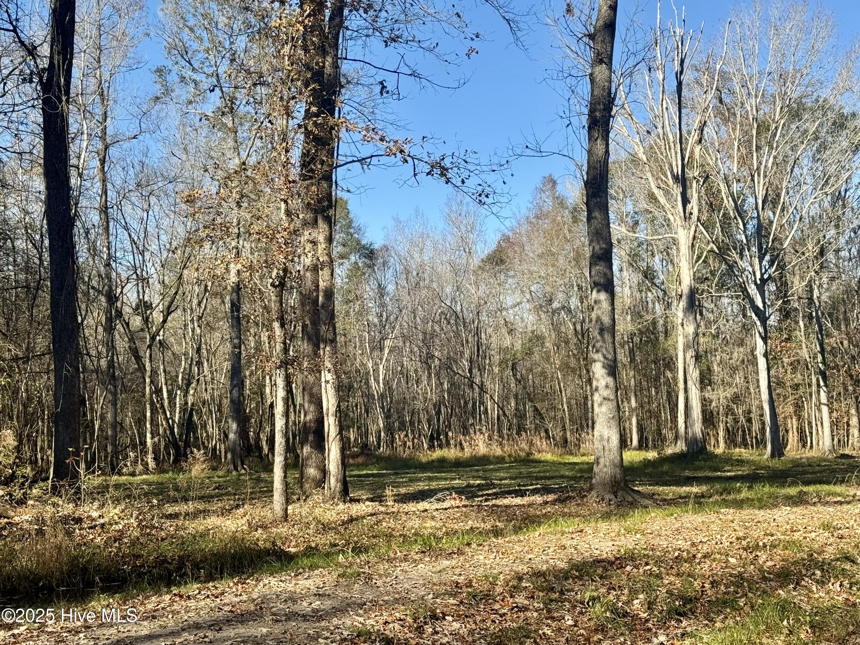 100545170 | Photo 13