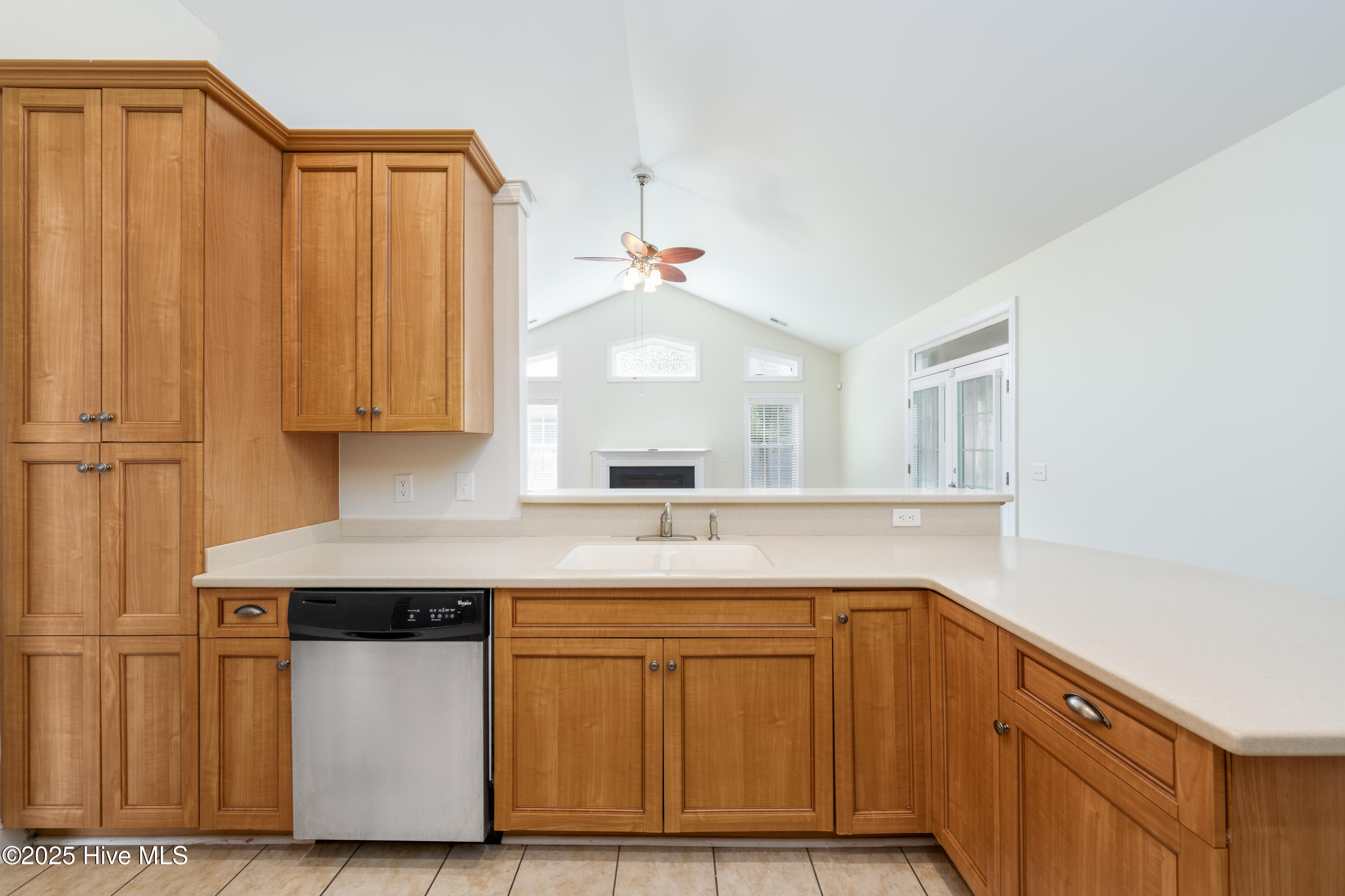 100513882 | Photo 23