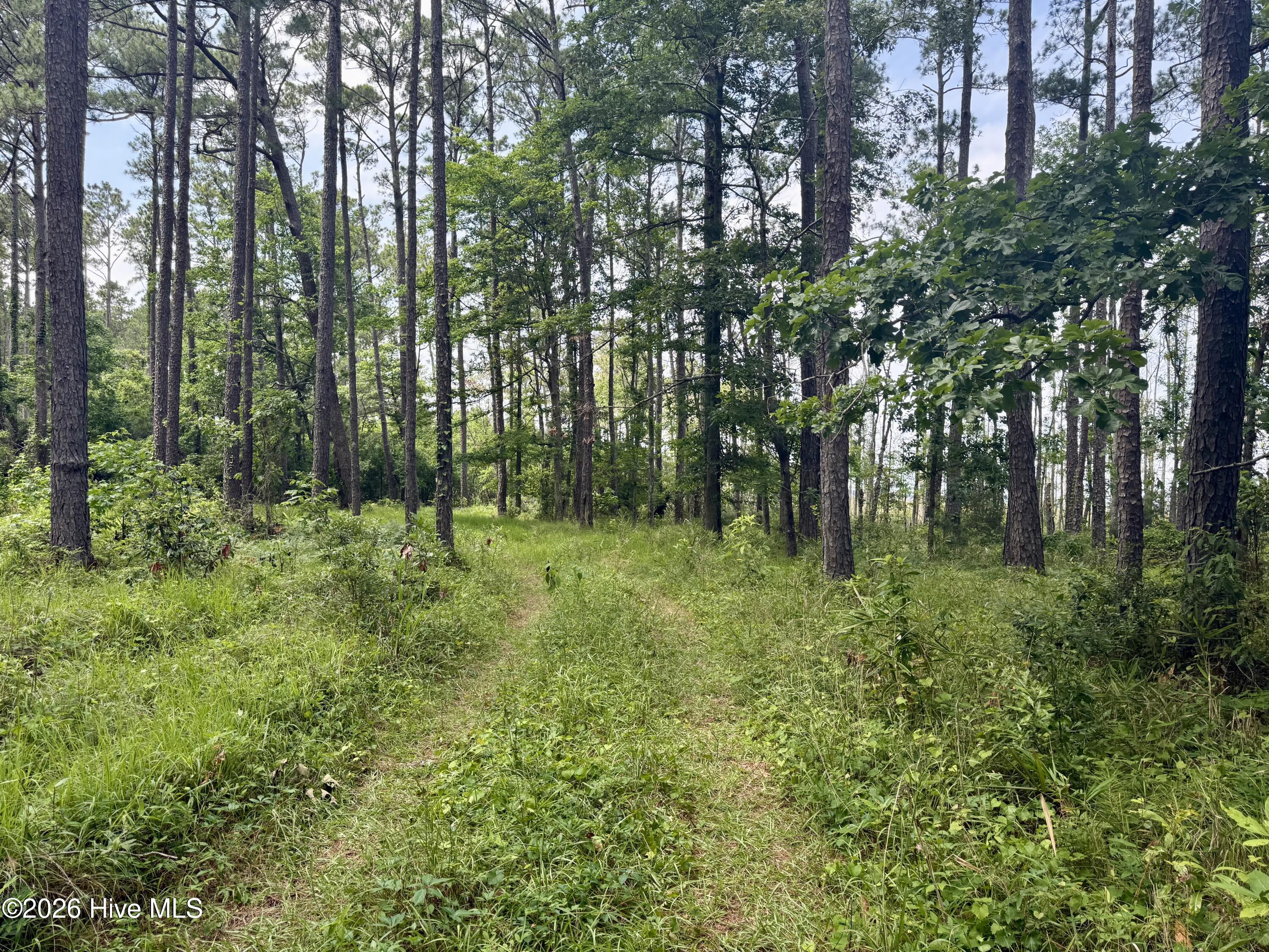 558 Sandy Point 