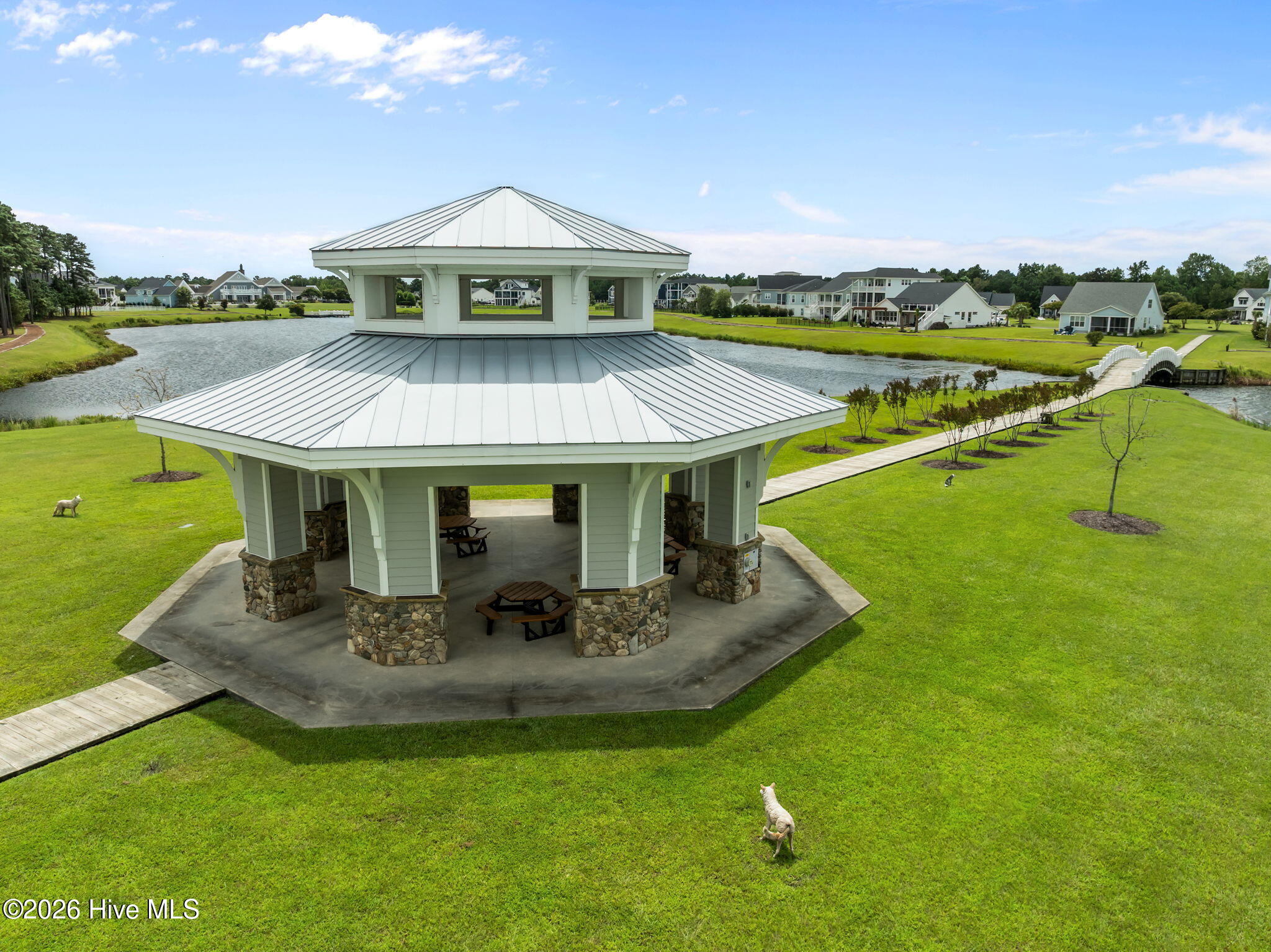 100557618 | Photo 65