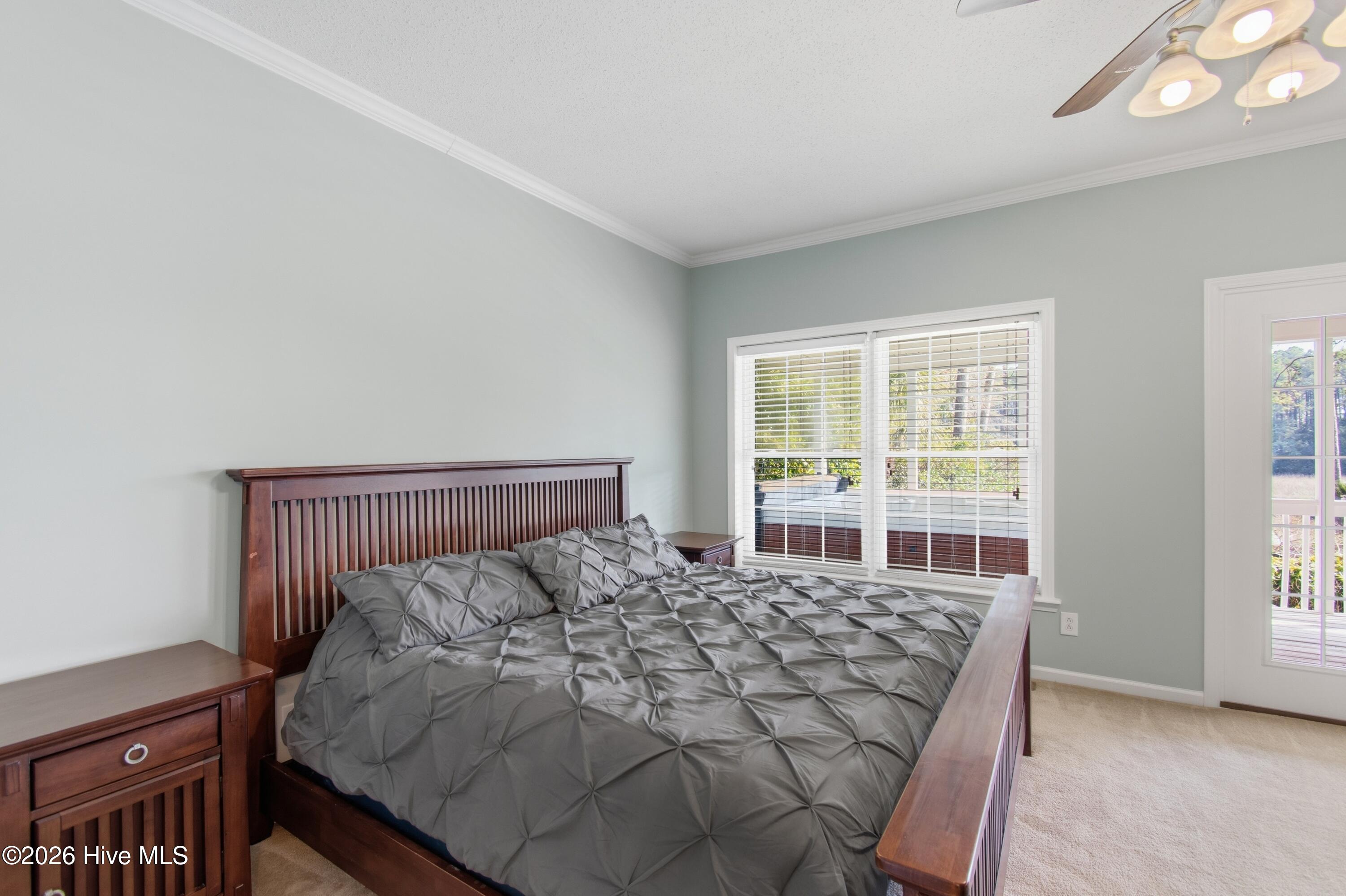 100556655 | Photo 29