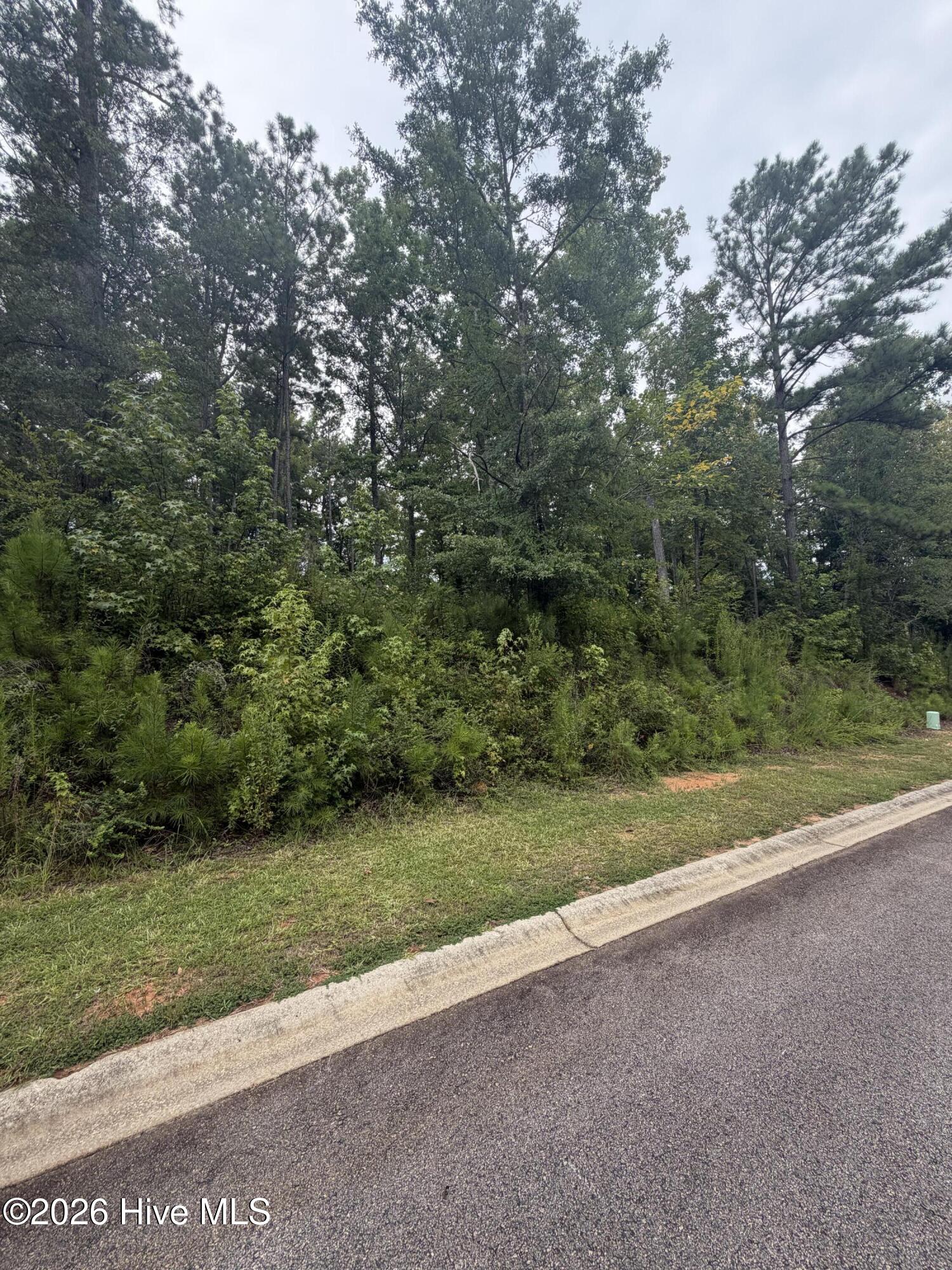 6th image of Lot M 14 Calvary Run, North Augusta, SC 29841 | MLS# 100596594
