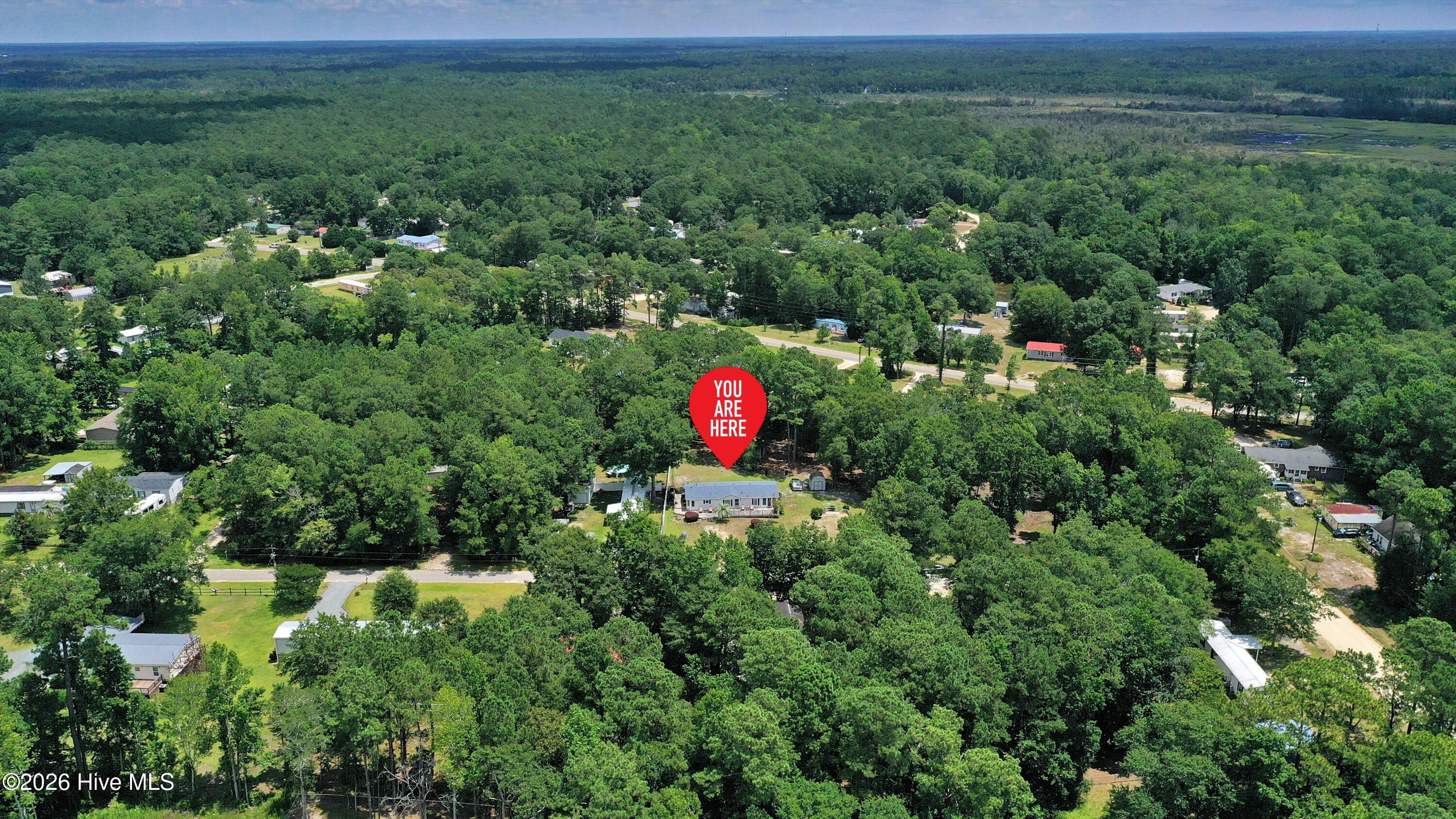 100568147 | Photo 44