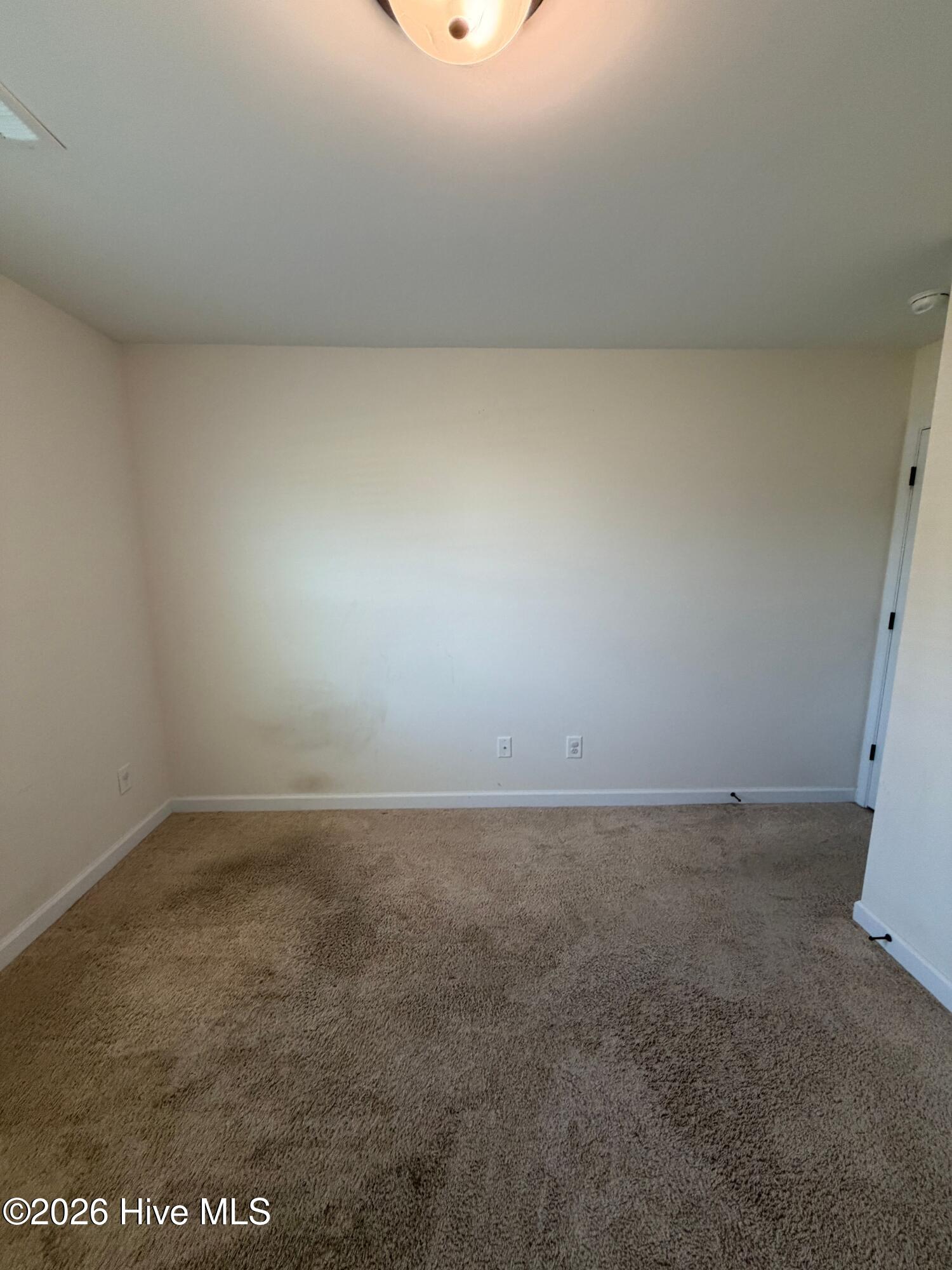 100563826 | Photo 20