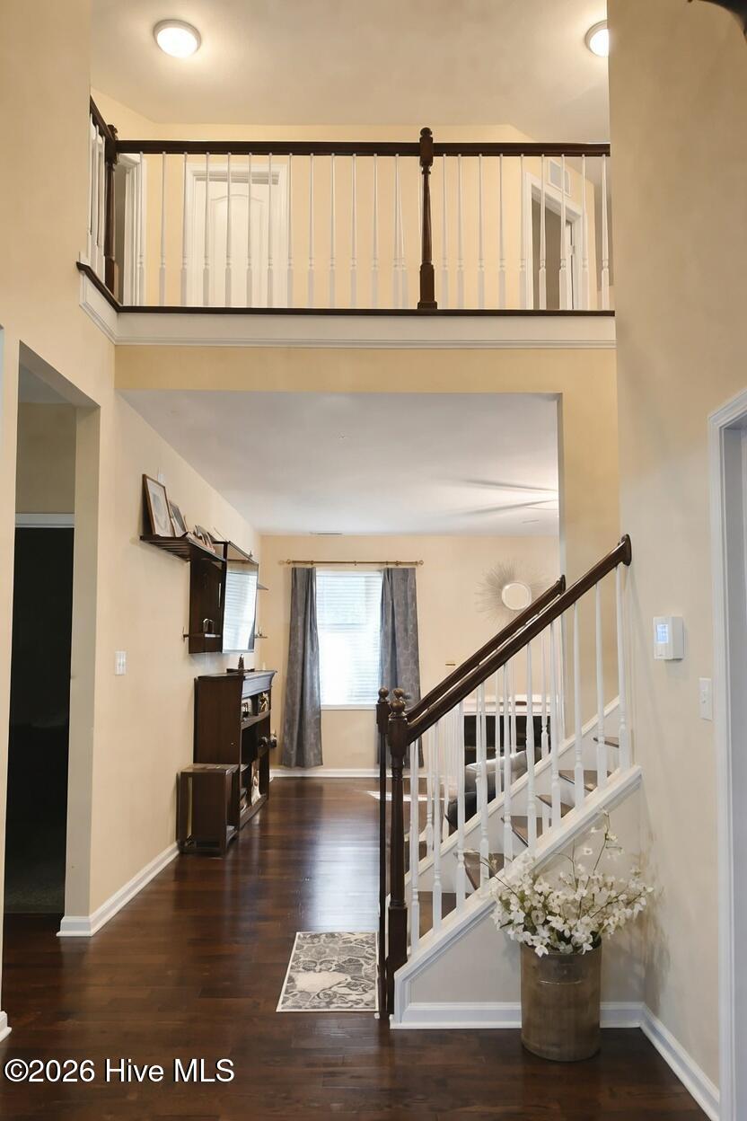 100562336 | Photo 21