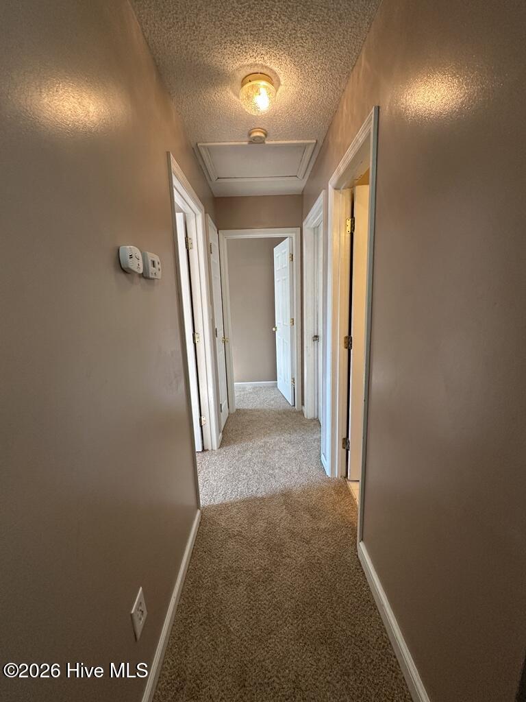 100553764 | Photo 10